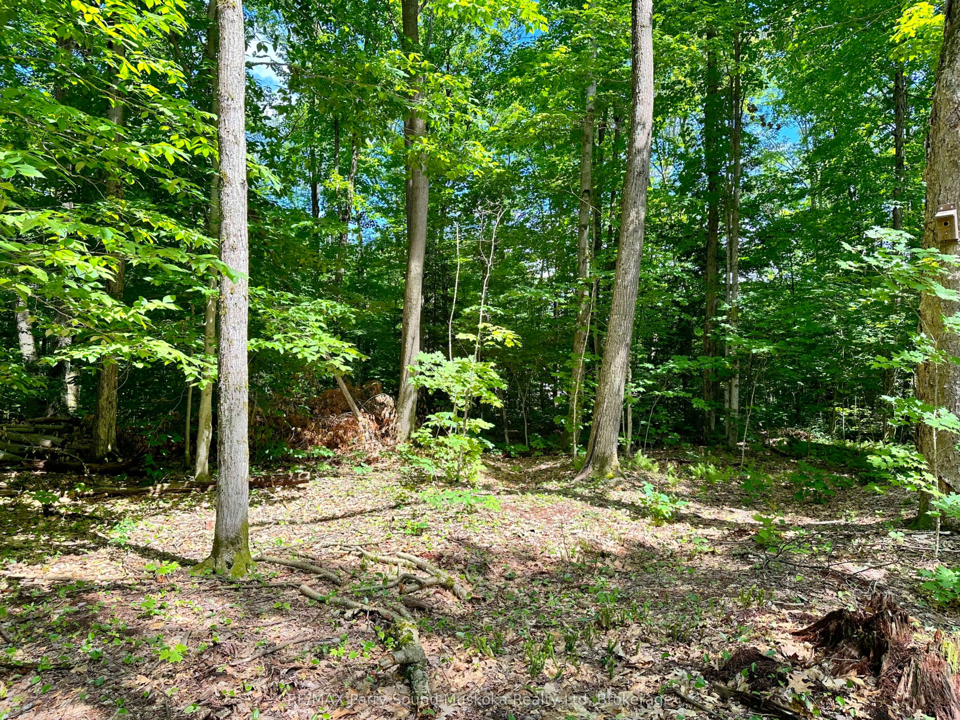 63 N Sandy Plains Rd Property Photo 7