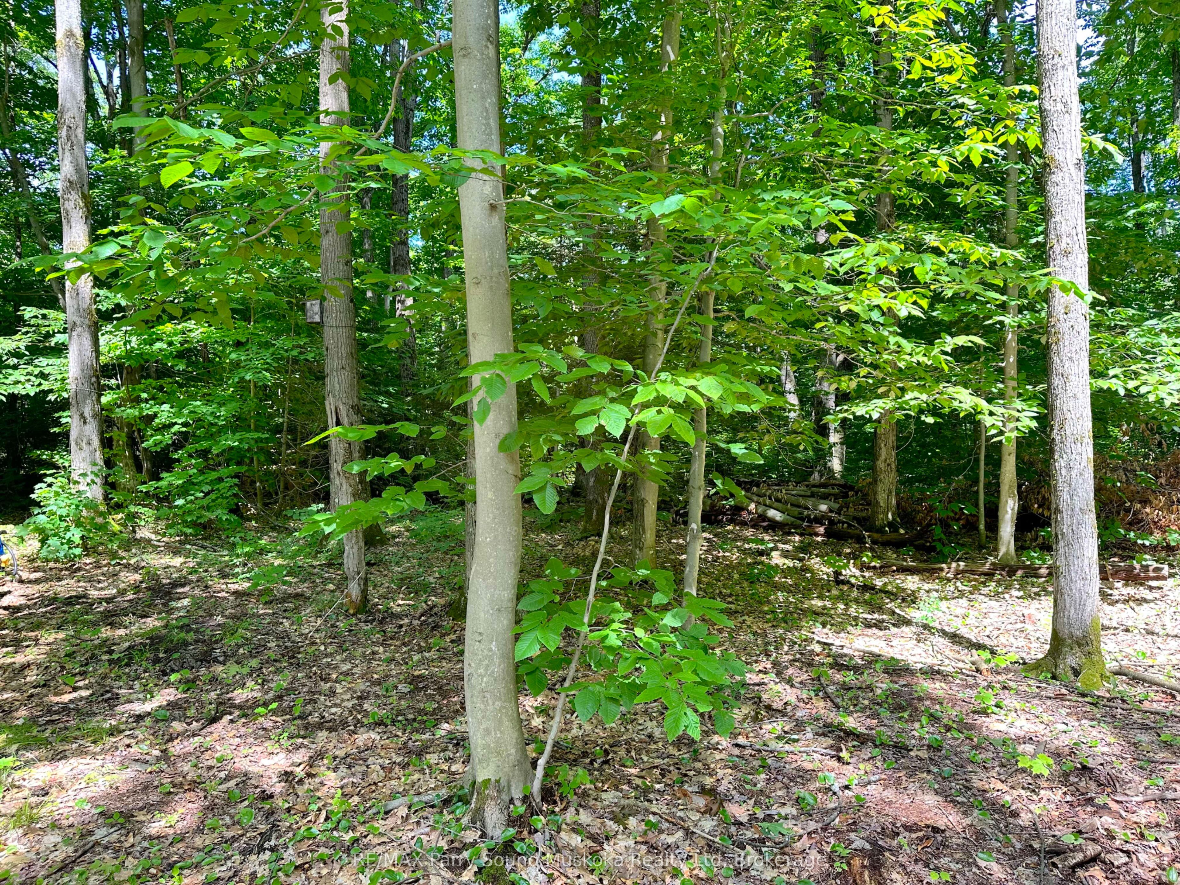 63 N Sandy Plains Rd Property Photo 8