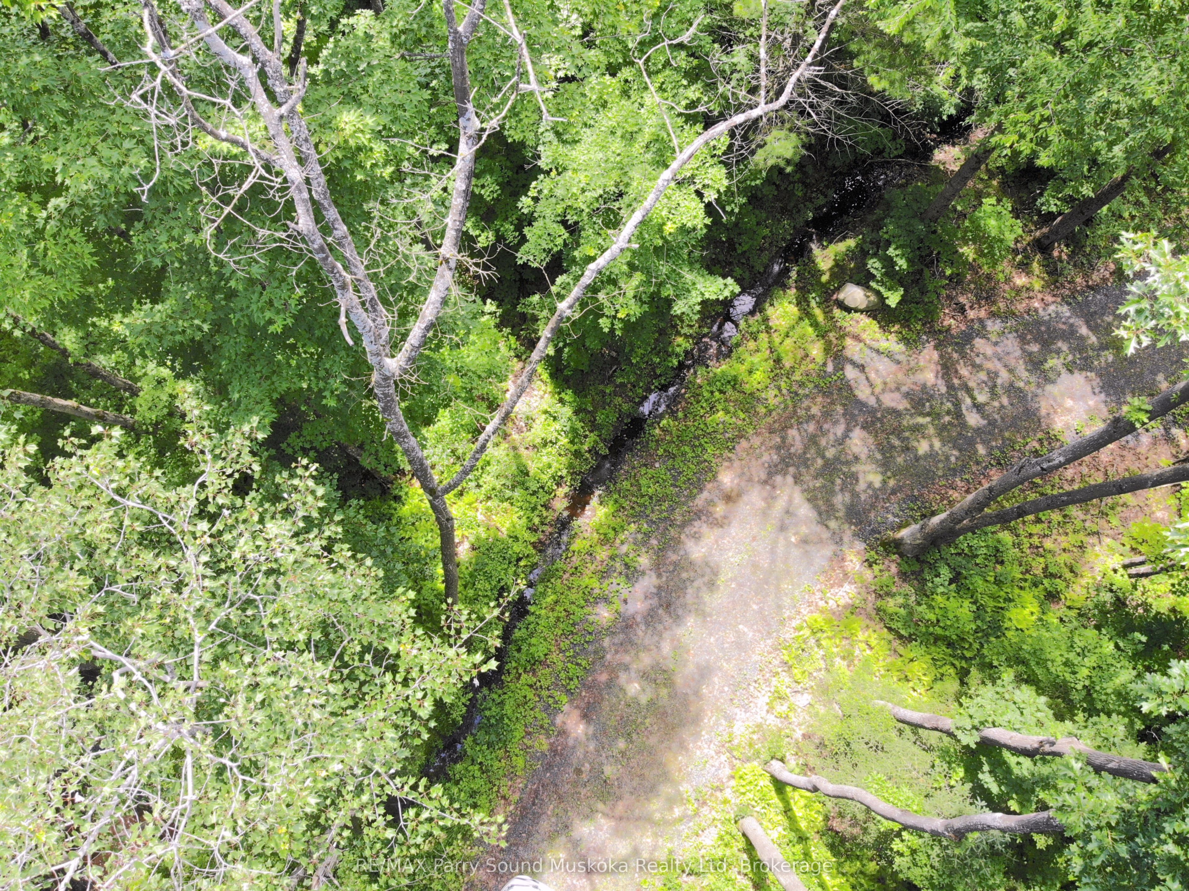 63 N Sandy Plains Rd Property Photo 12