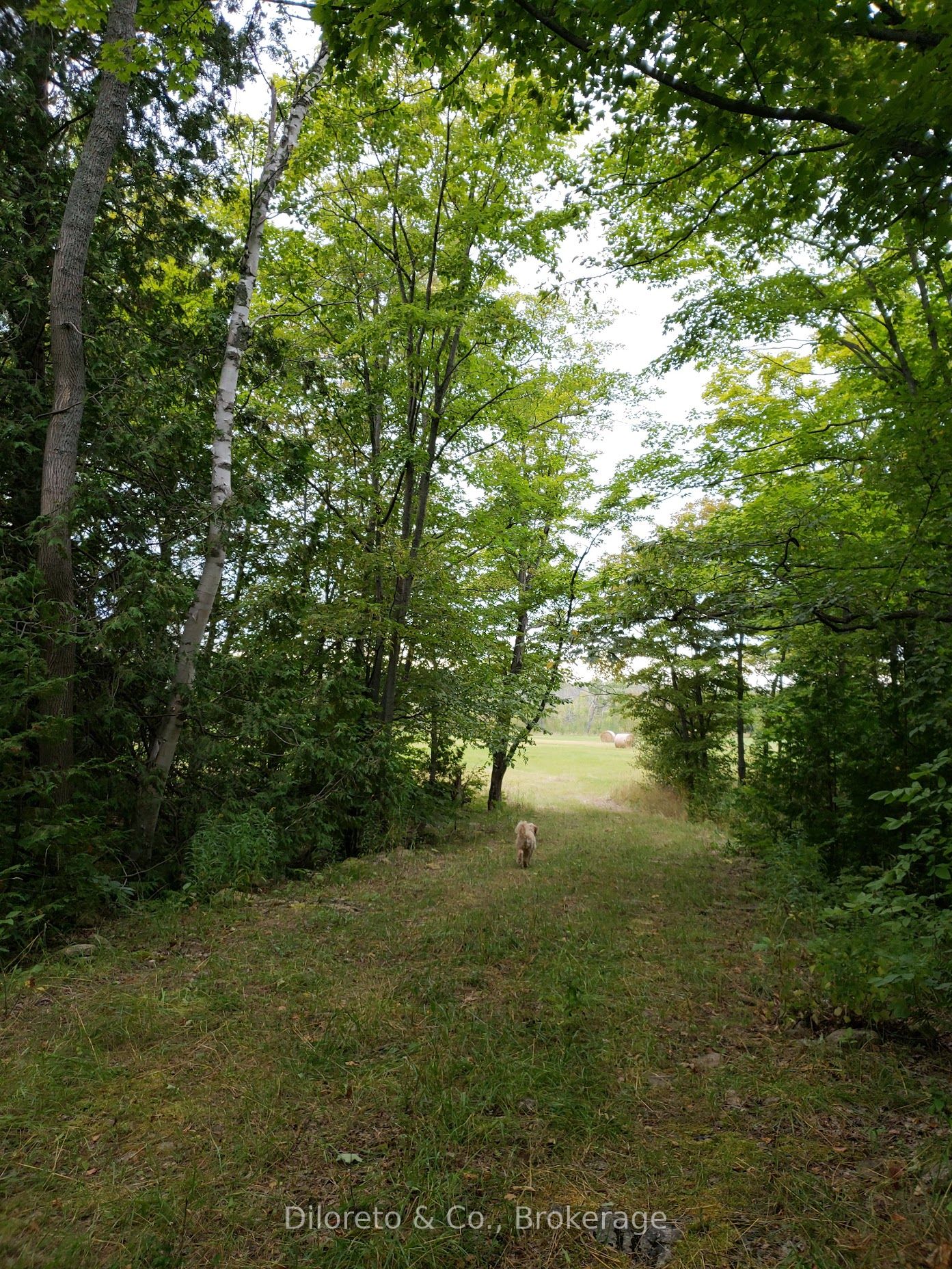 21 Northern Trl Property Photo 5