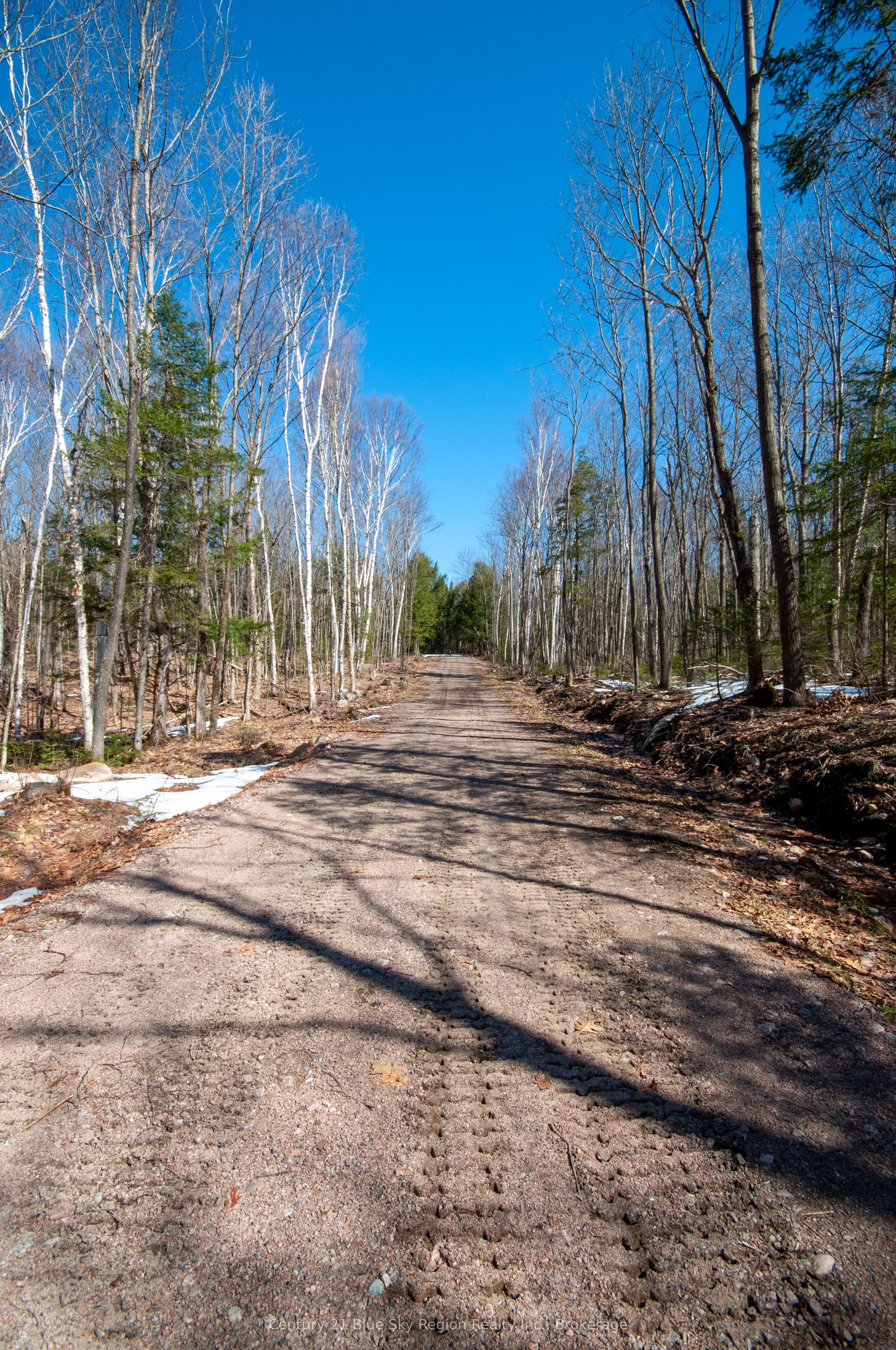 Lot 16 Grand Desert Road Property Photo 3