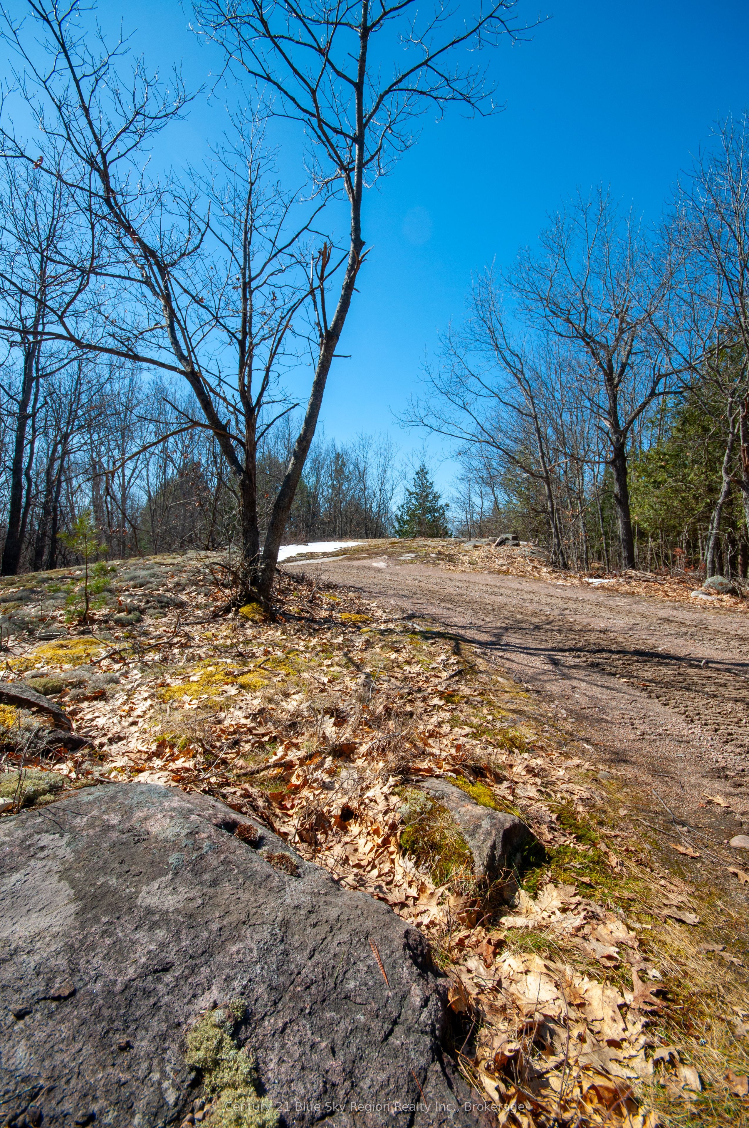 Lot 16 Grand Desert Road Property Photo 4