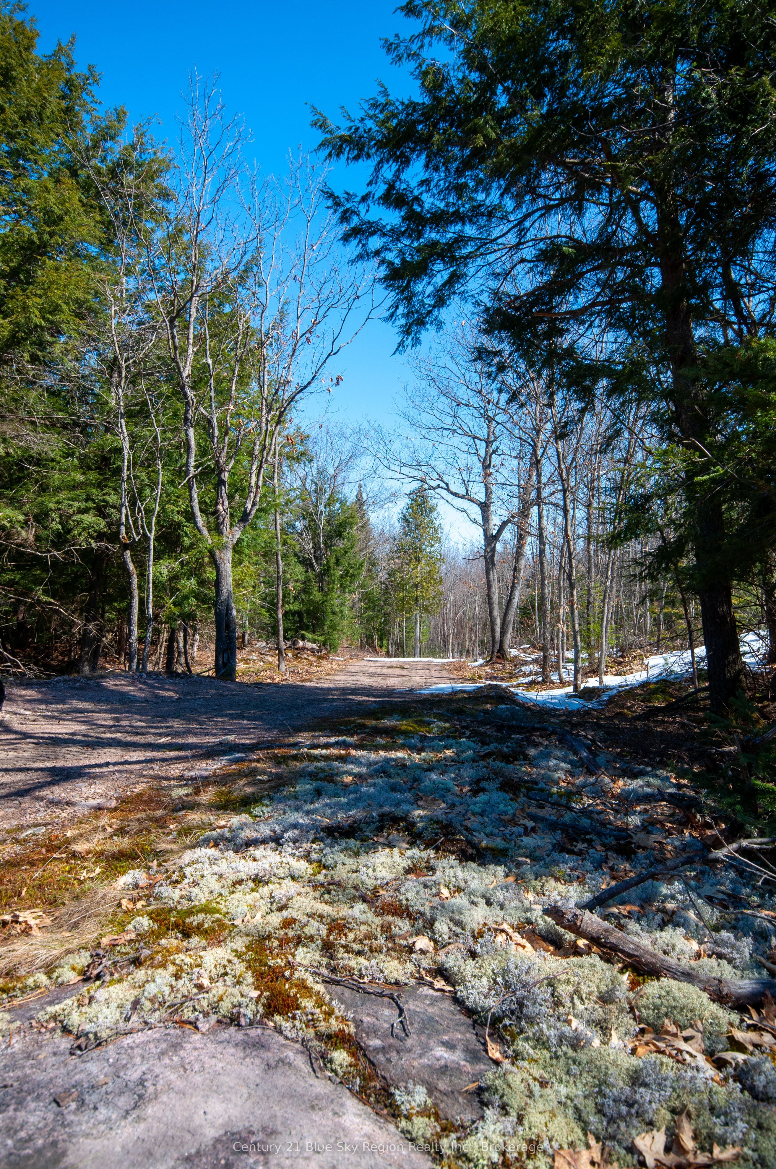 Lot 16 Grand Desert Road Property Photo 15