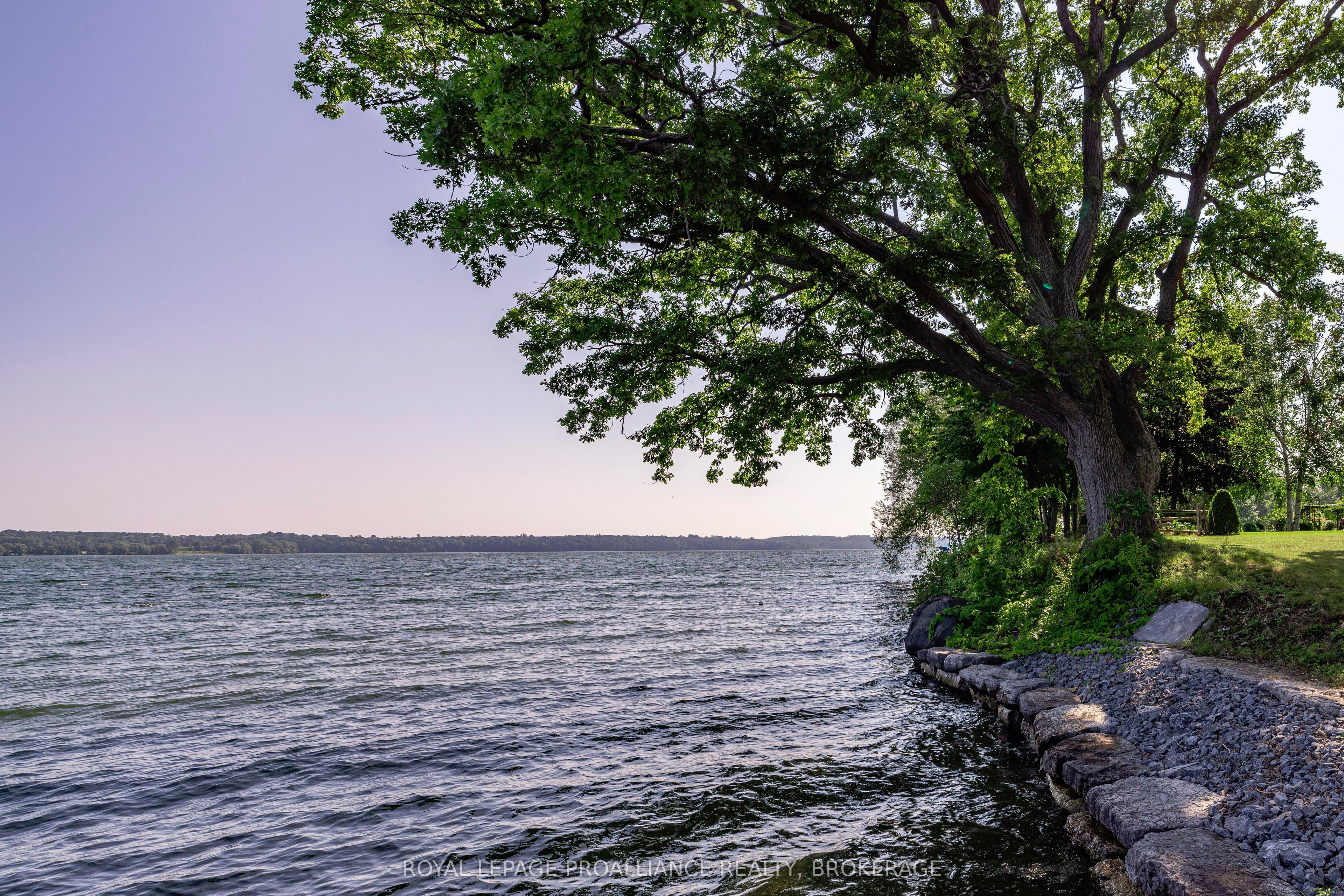 51 Applewood Cove Drive Property Photo 45