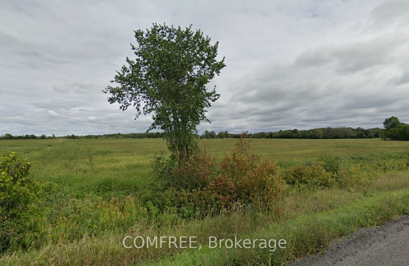 12365 Ormond Road Property Photo