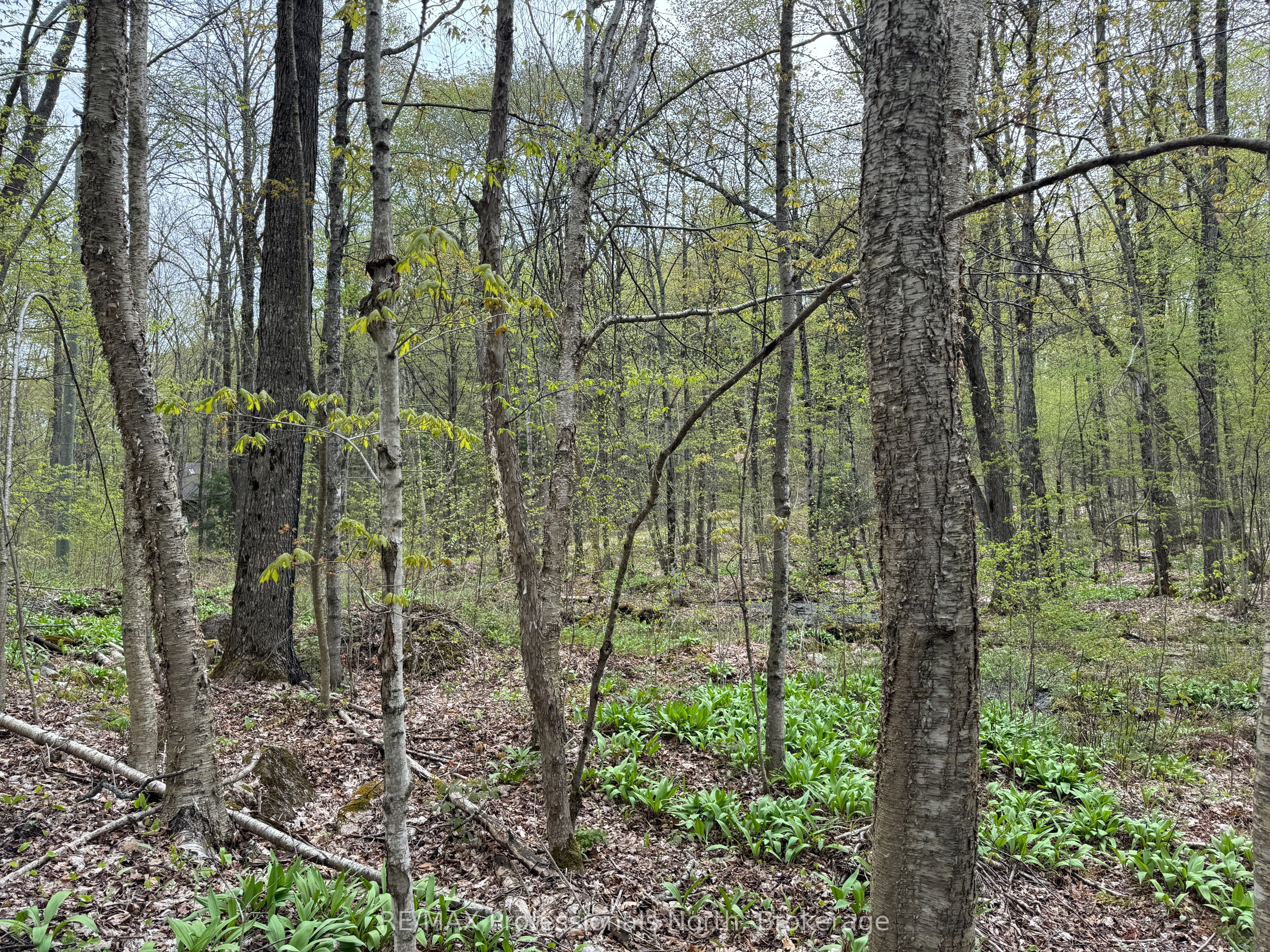 Lot 165 Glen Lake Court Property Photo 5