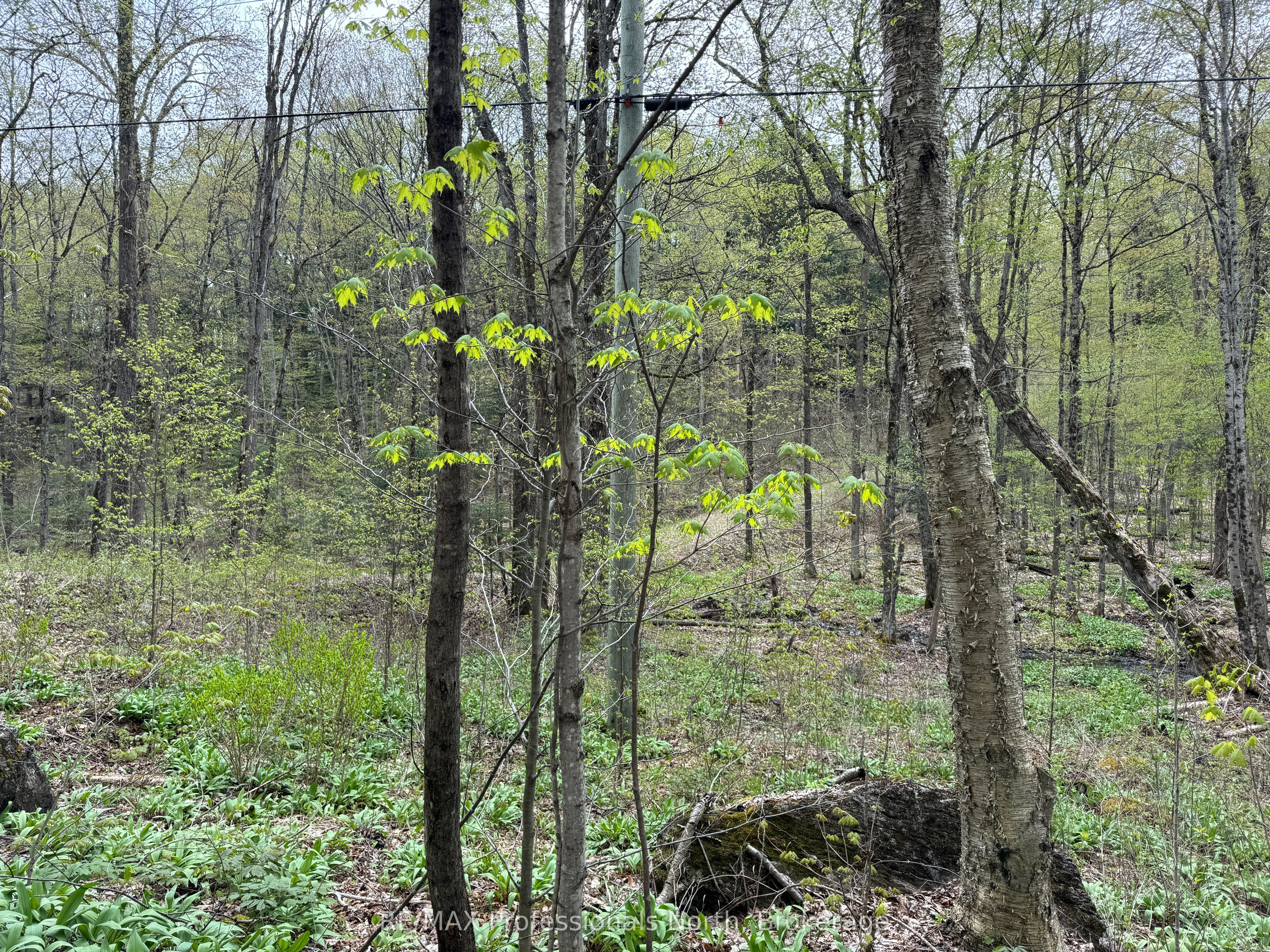 Lot 165 Glen Lake Court Property Photo 6