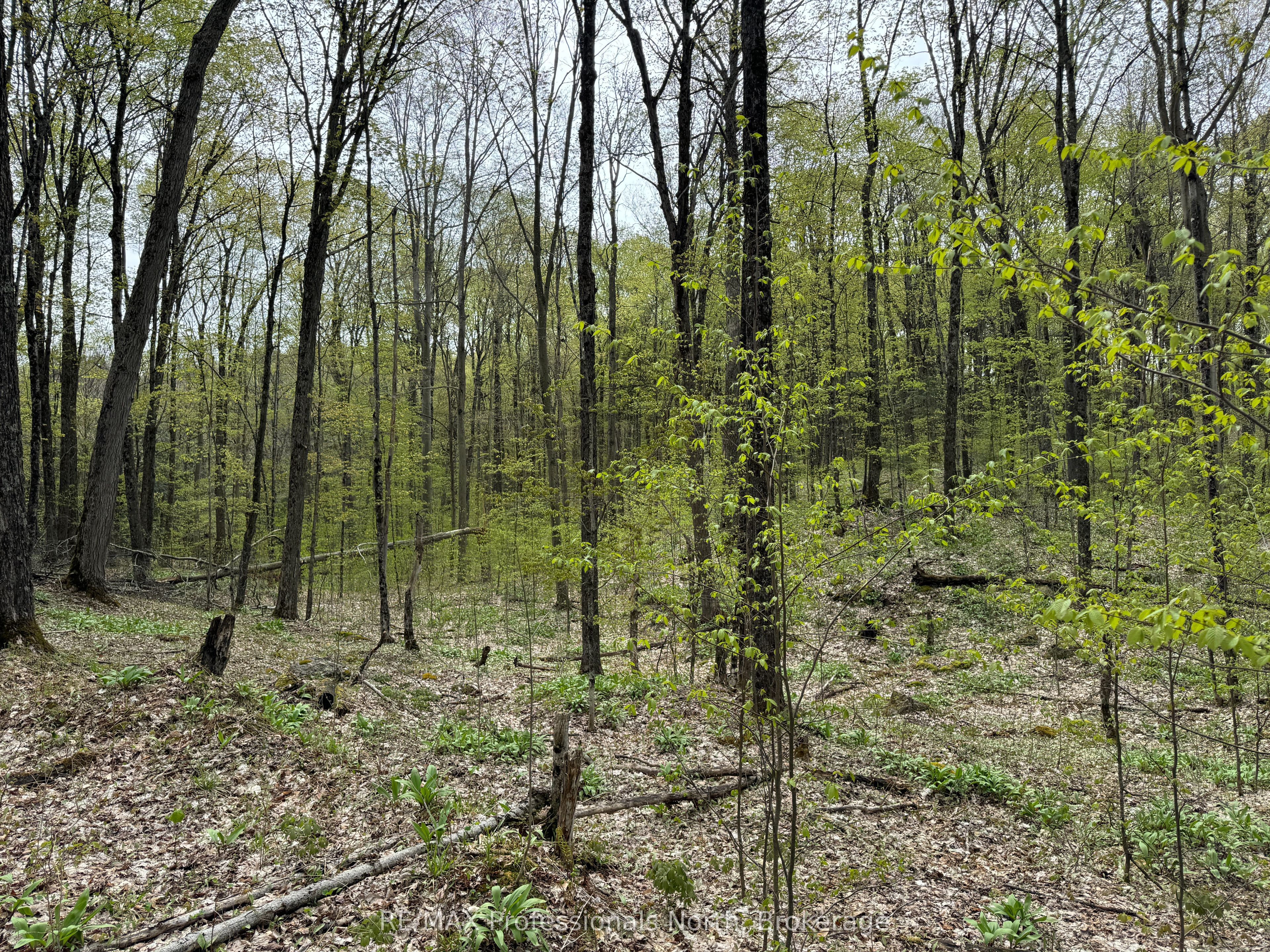 Lot 165 Glen Lake Court Property Photo 10