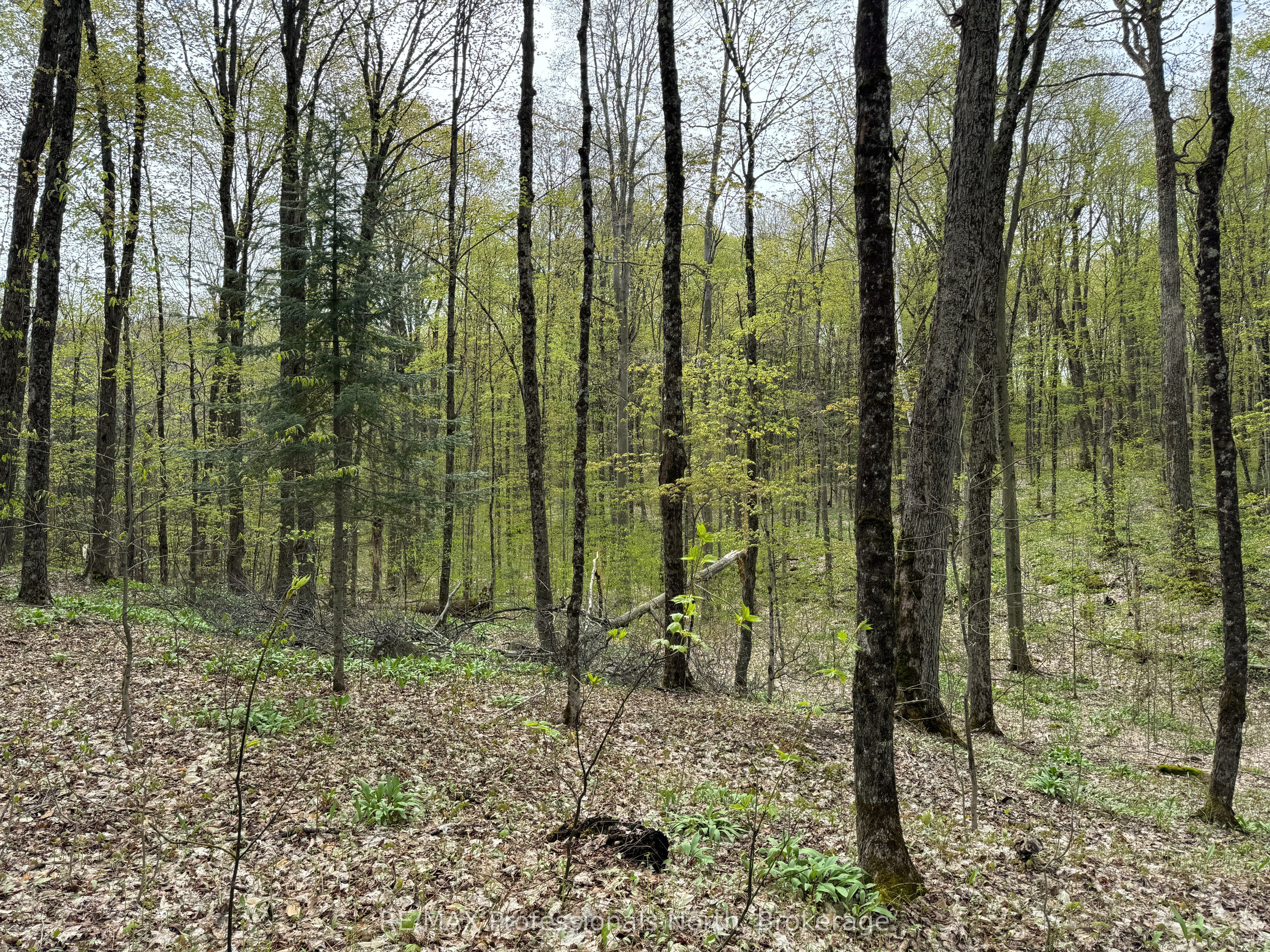 Lot 165 Glen Lake Court Property Photo 11