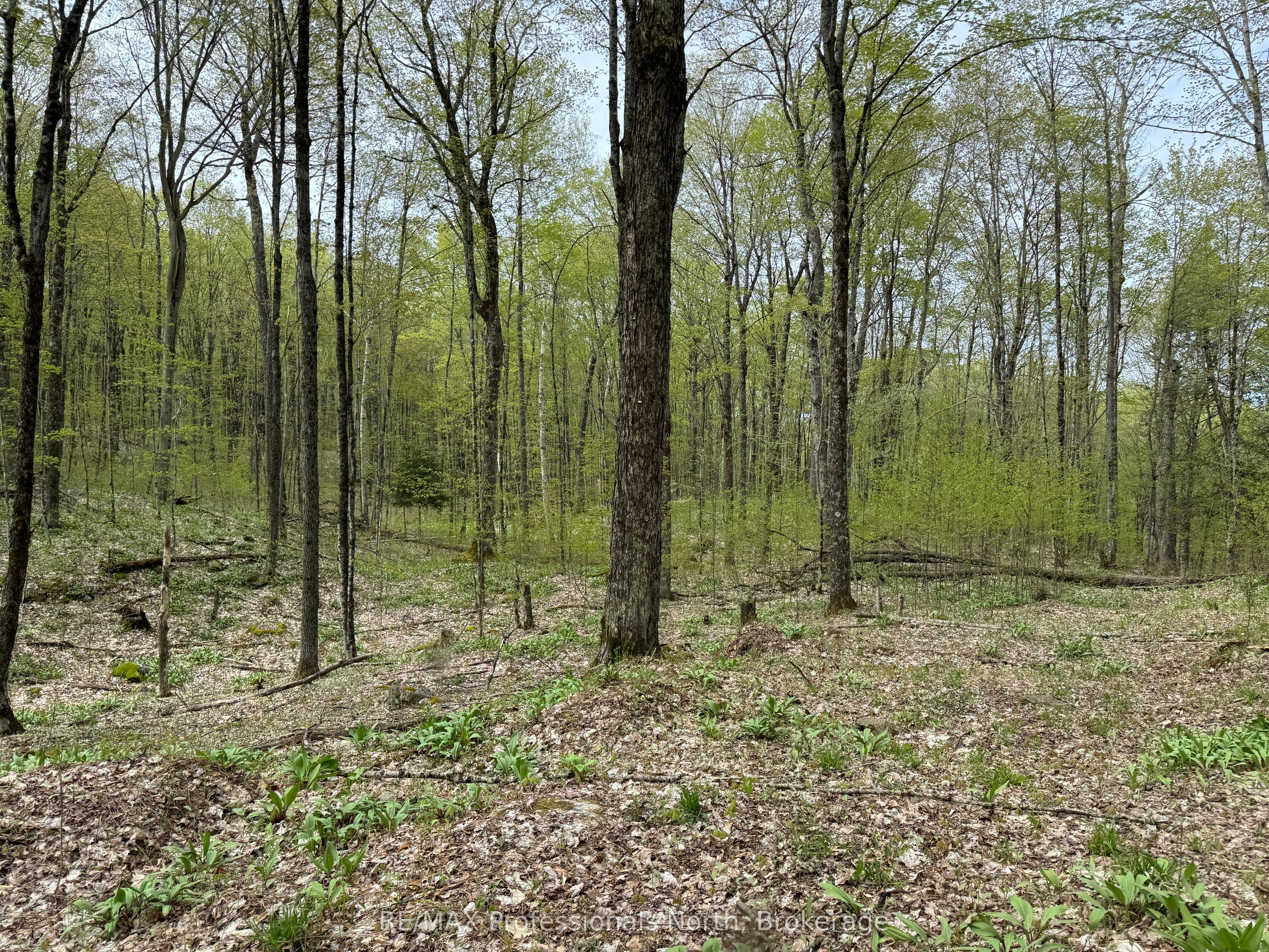 Lot 165 Glen Lake Court Property Photo 12