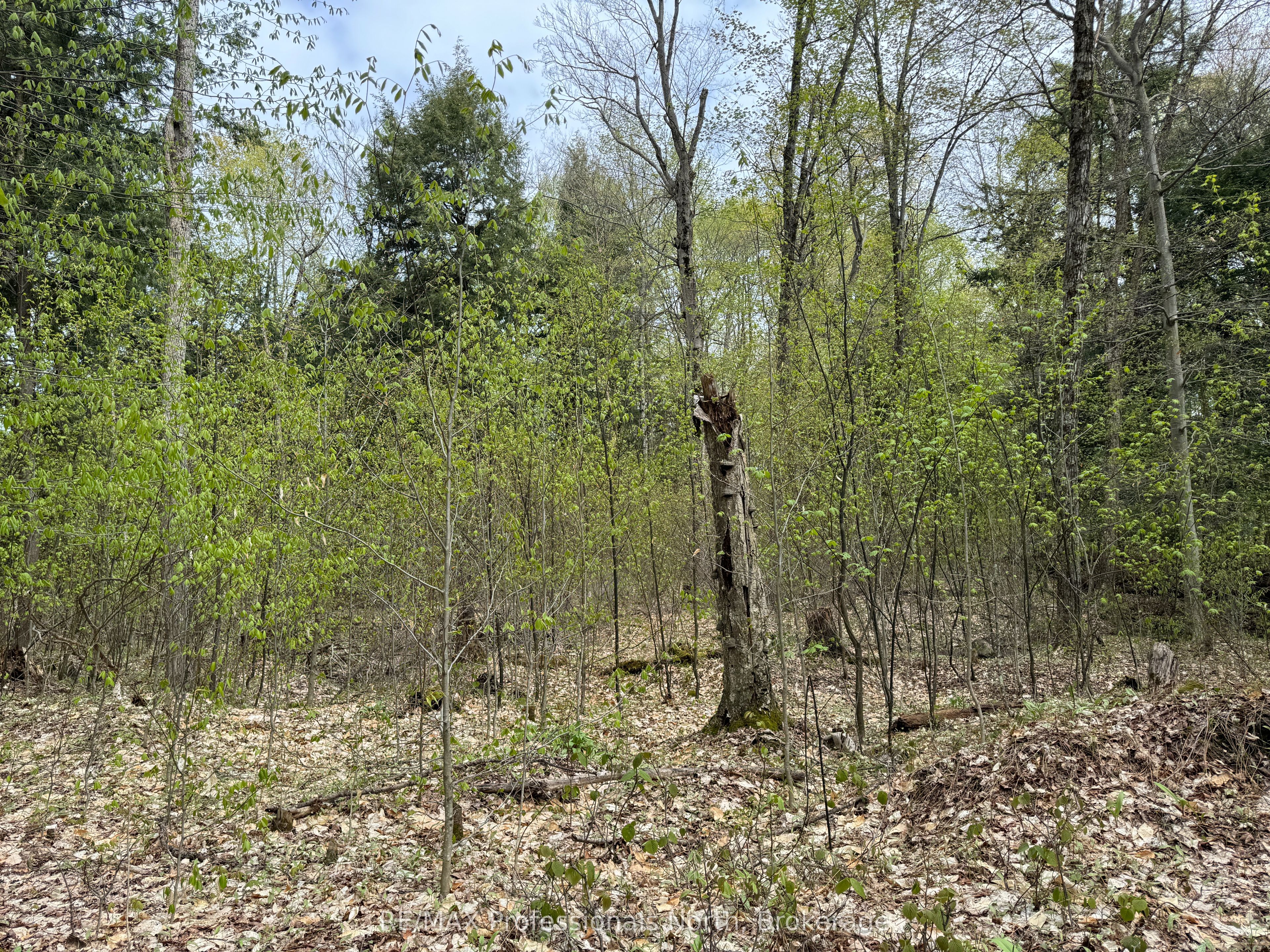 Lot 165 Glen Lake Court Property Photo 13