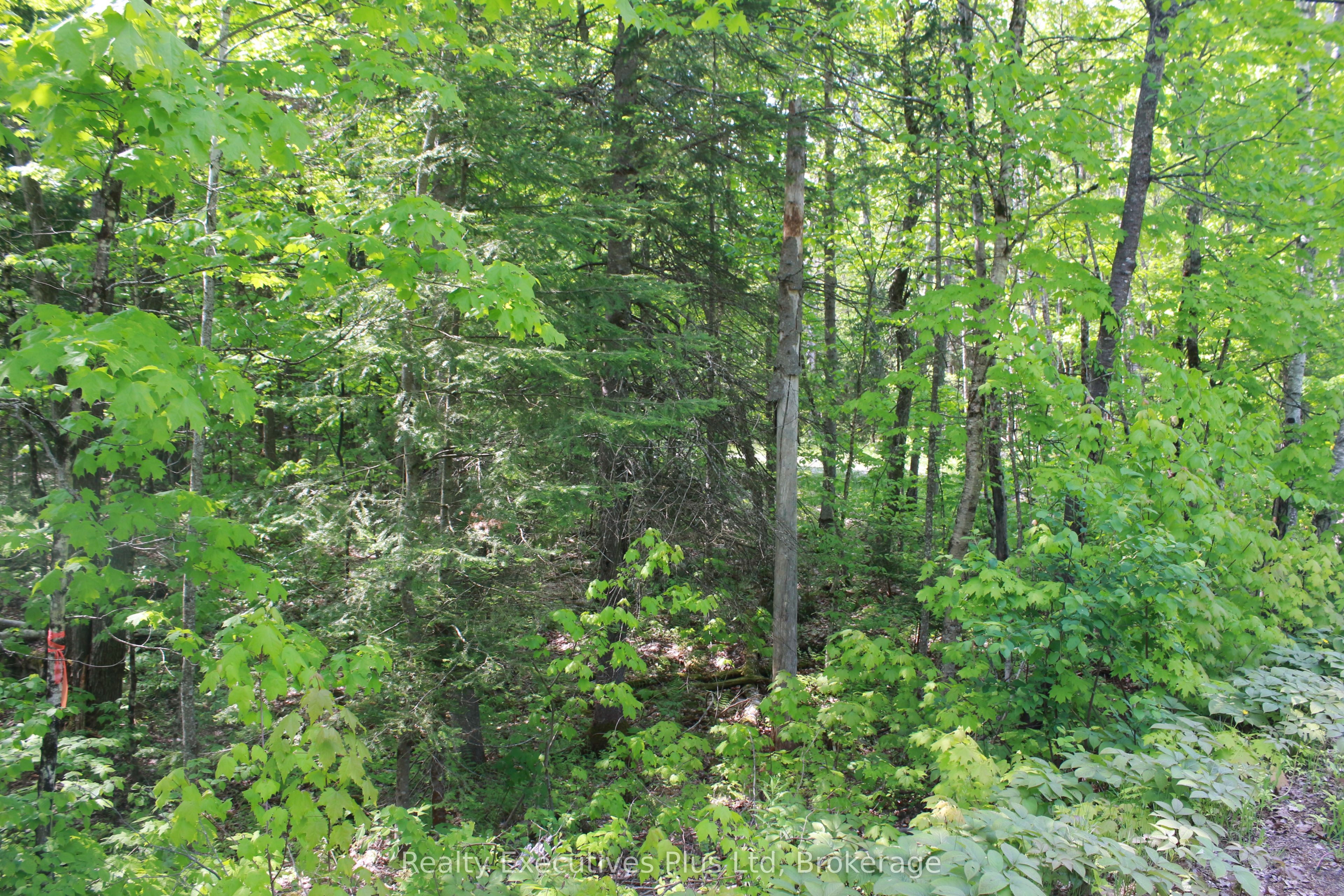 80 Lake Haven Dr Property Photo 12