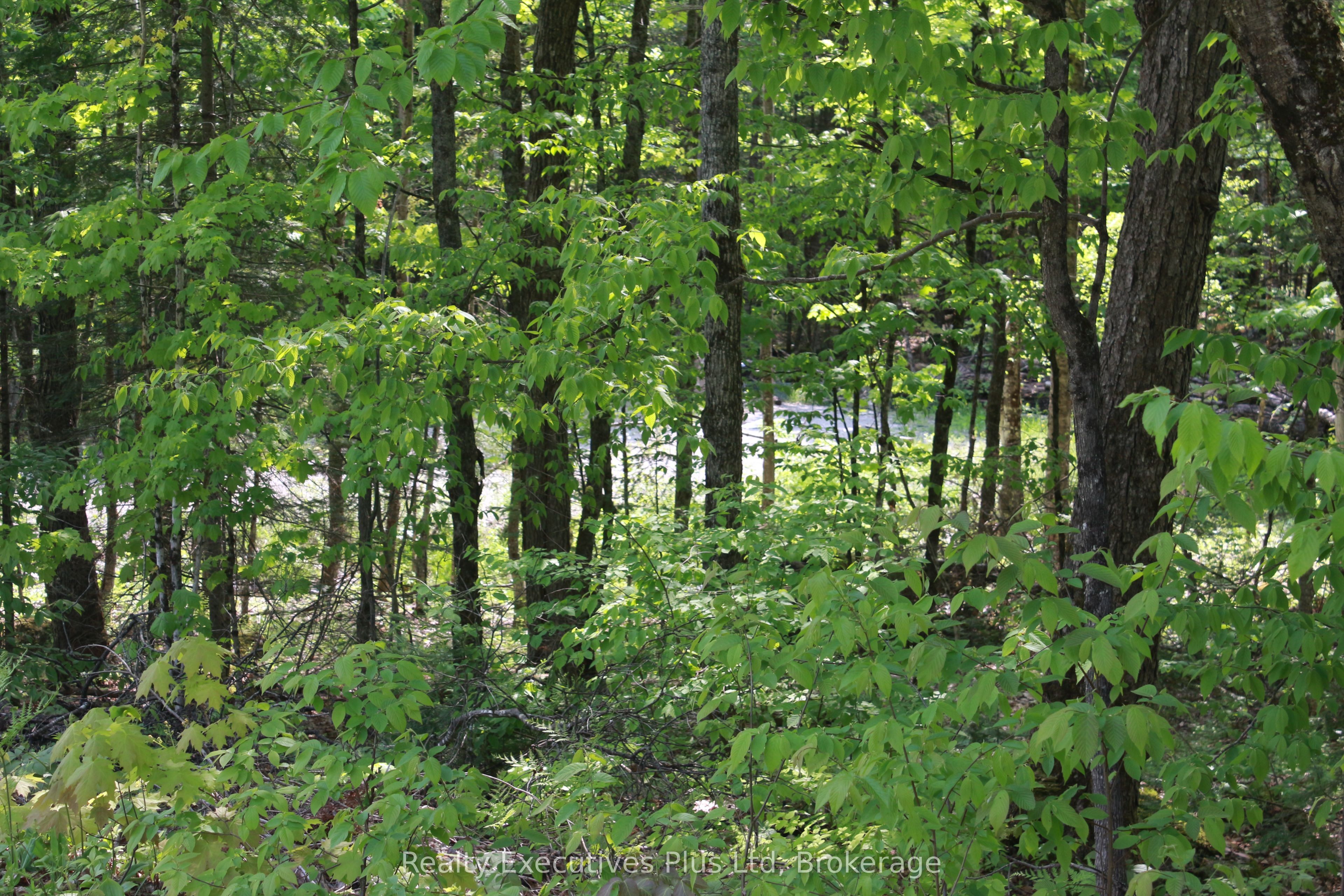 80 Lake Haven Dr Property Photo 14