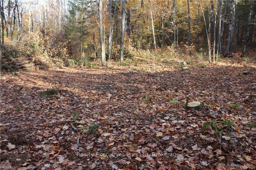 00 Ottawa Avenue Property Photo 3