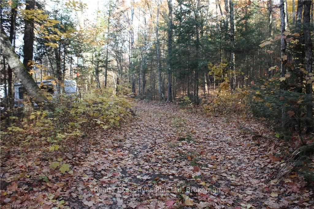 00 Ottawa Avenue Property Photo 8