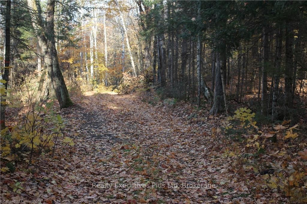 00 Ottawa Avenue Property Photo 9
