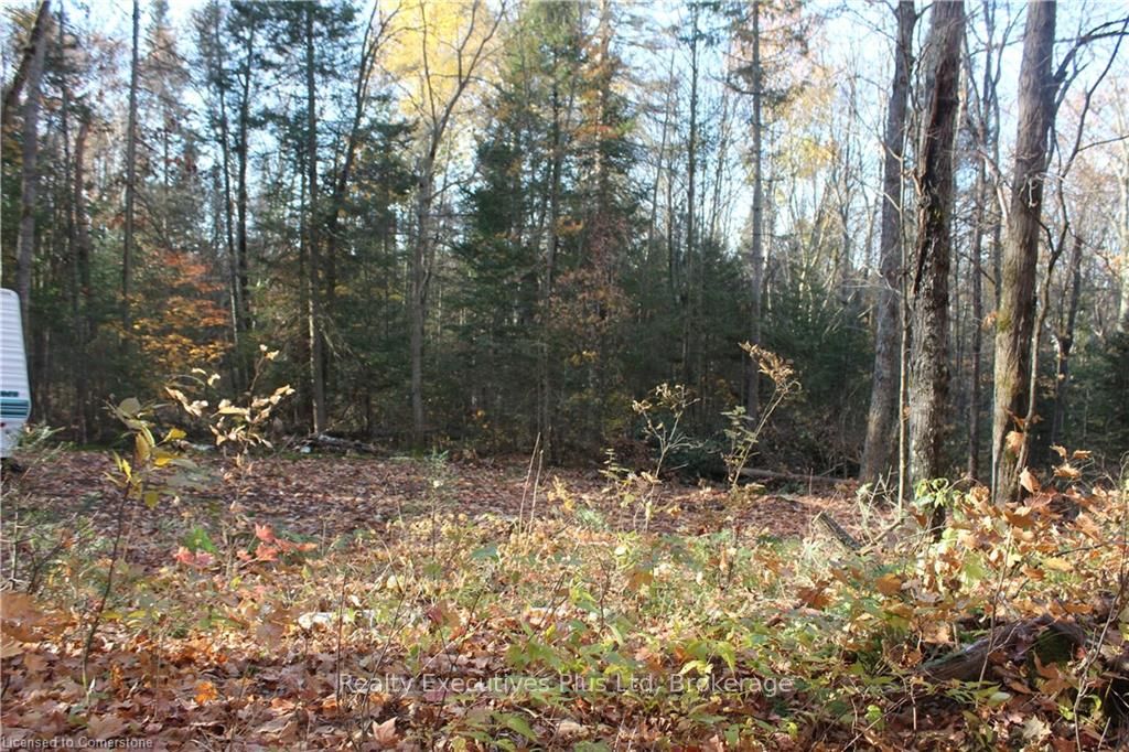 00 Ottawa Avenue Property Photo 13