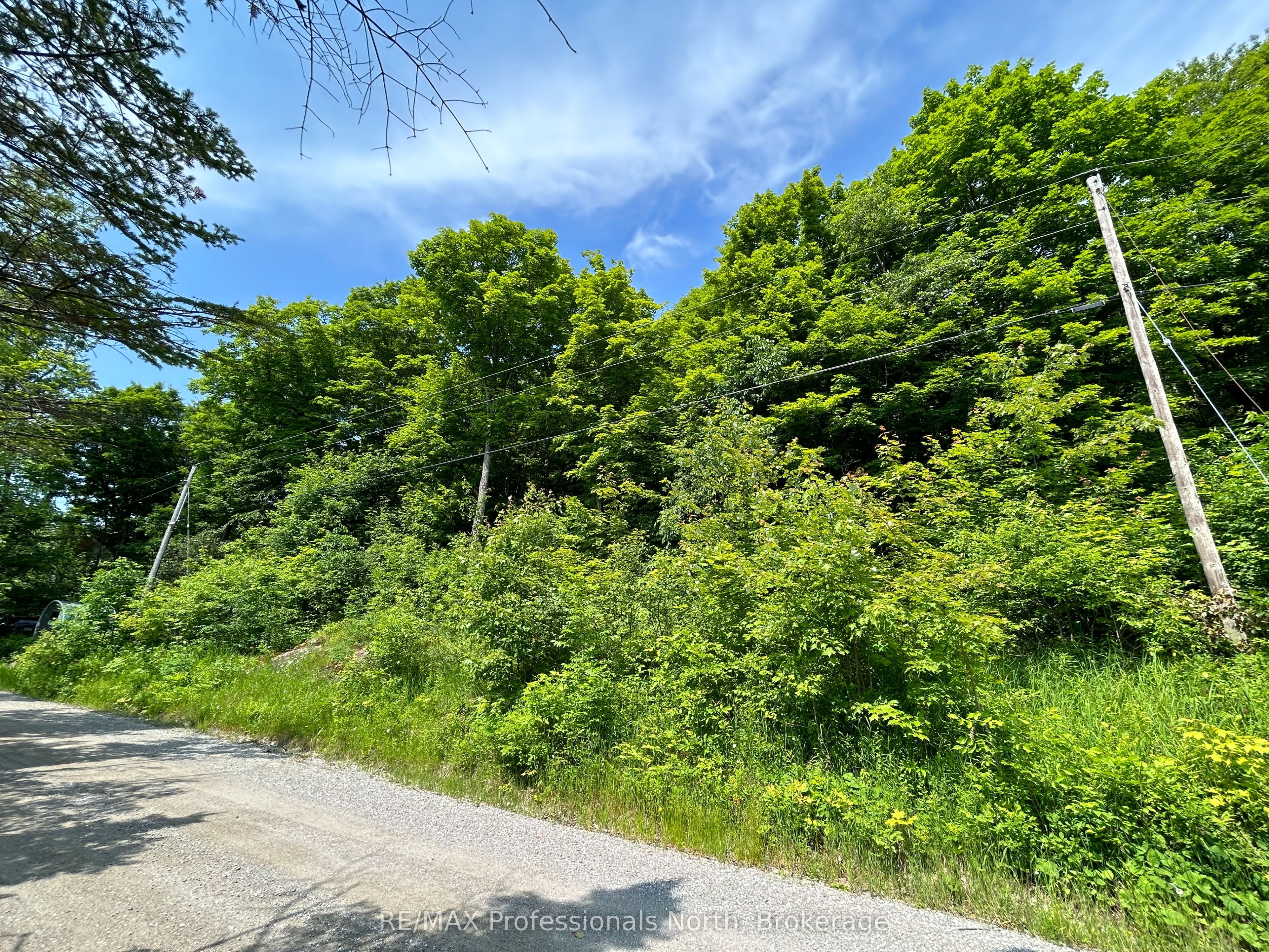 0 Brady Lake Road Property Photo 3