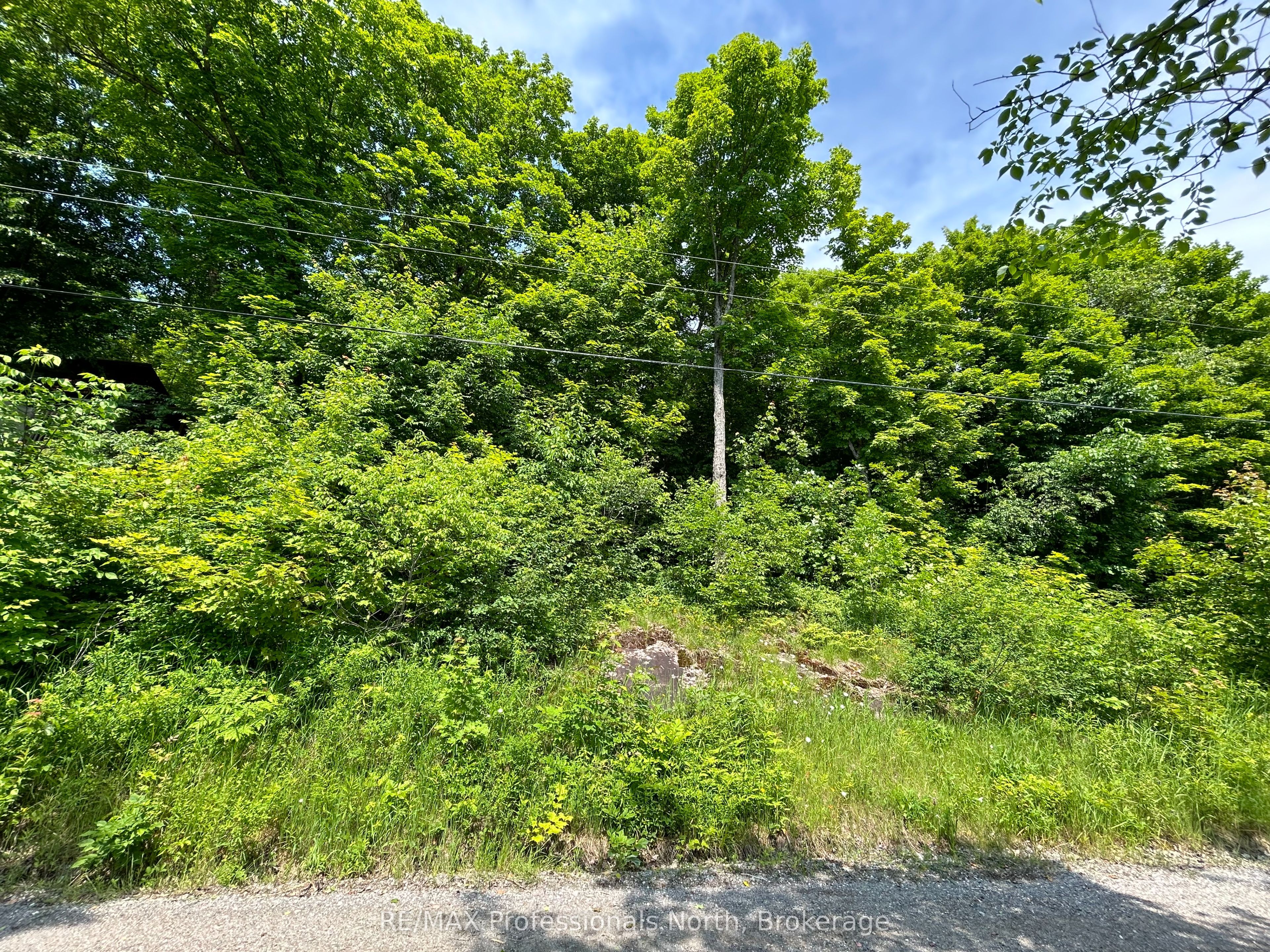 0 Brady Lake Road Property Photo 4