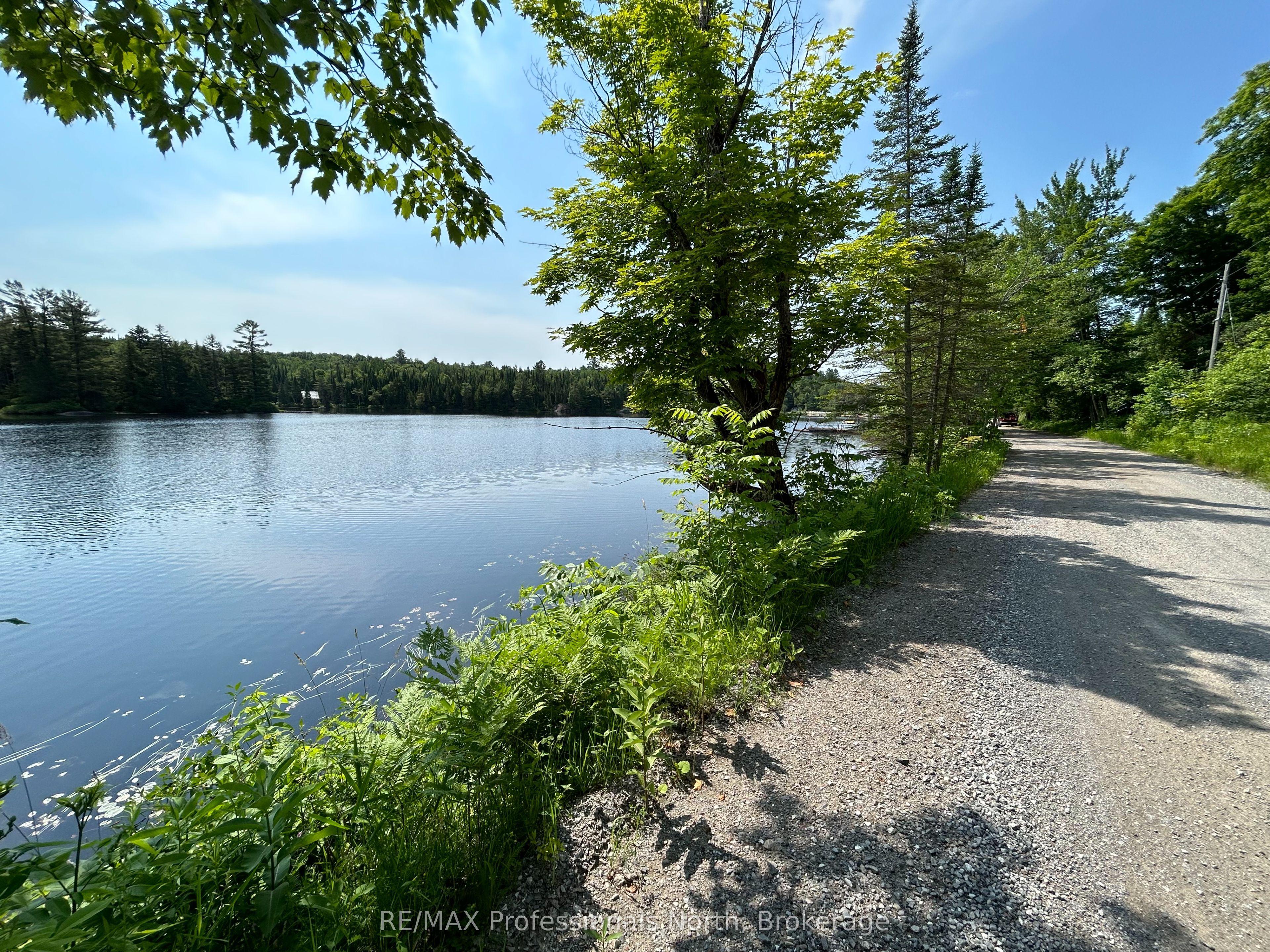 0 Brady Lake Road Property Photo 5