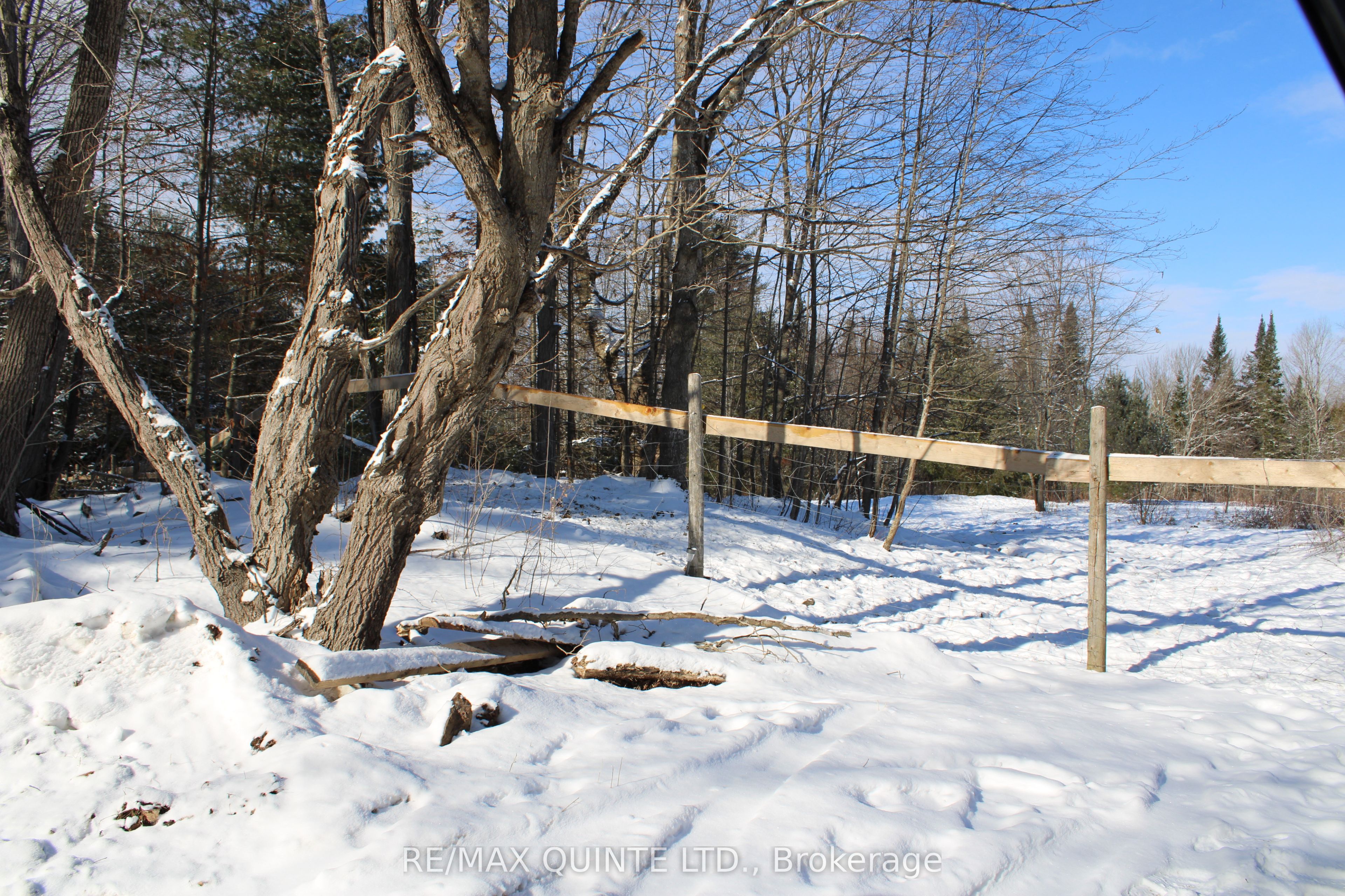 494 Twin Sister Lakes Road Property Photo 3