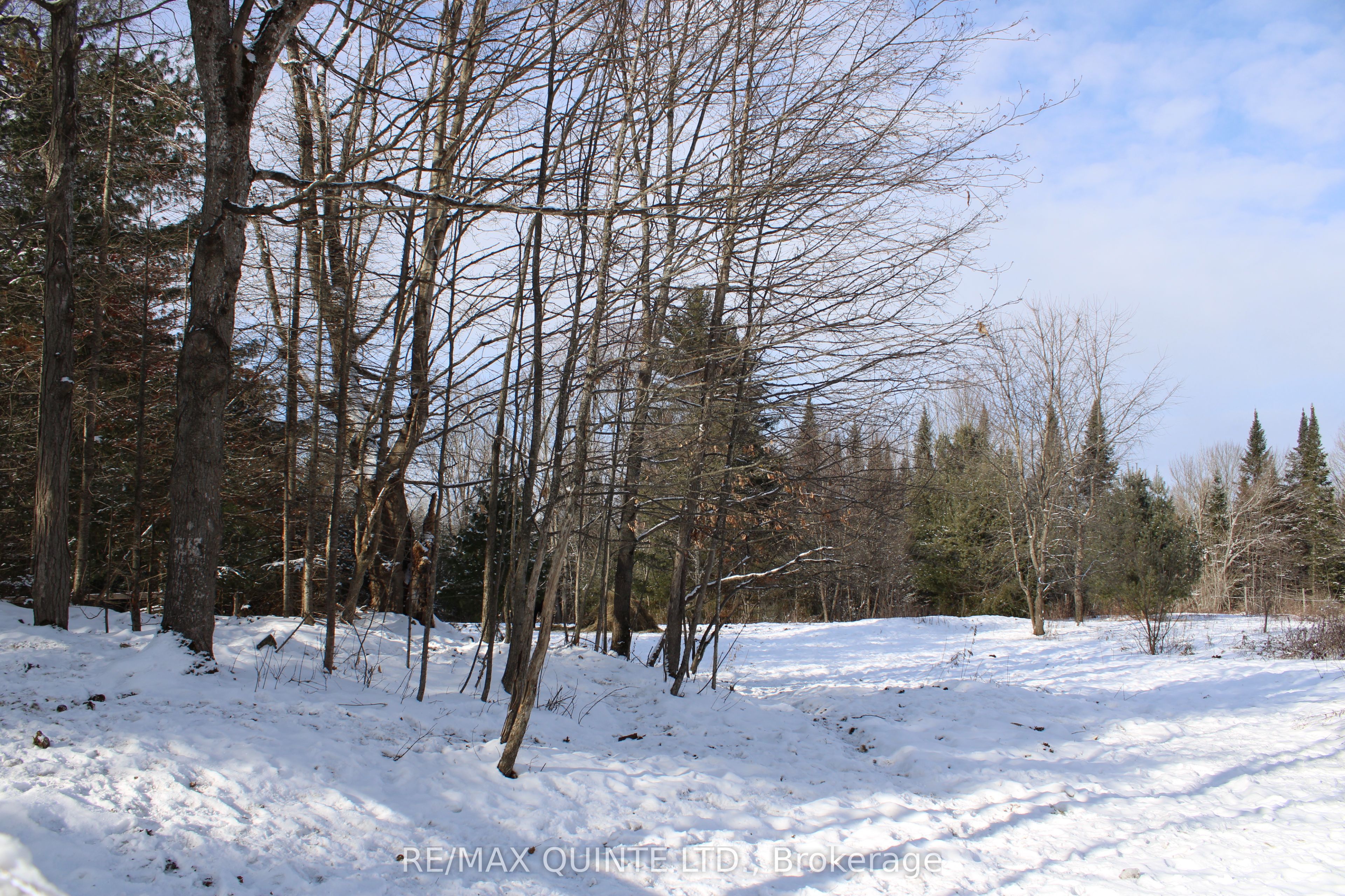 494 Twin Sister Lakes Road Property Photo 4