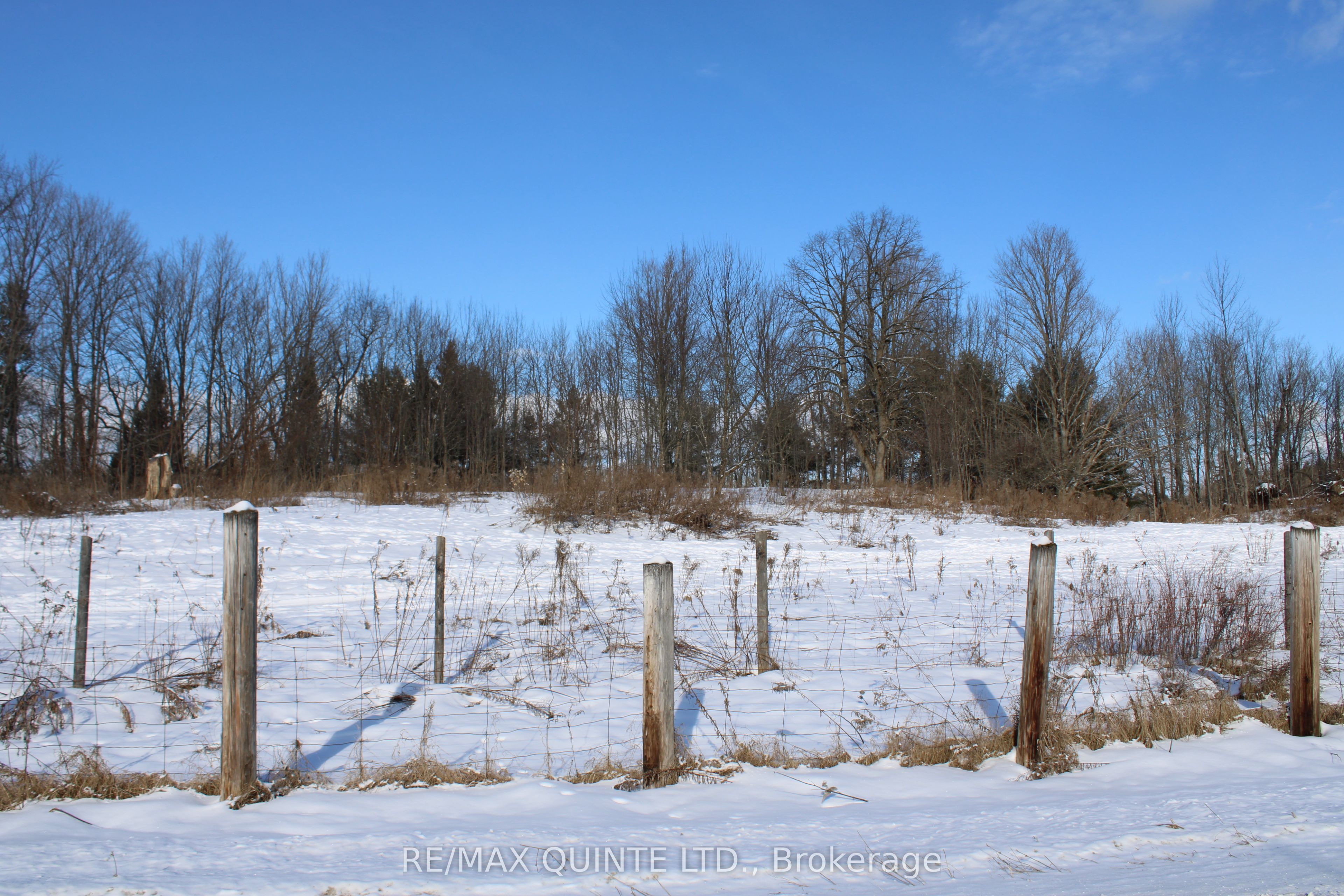 494 Twin Sister Lakes Road Property Photo 8