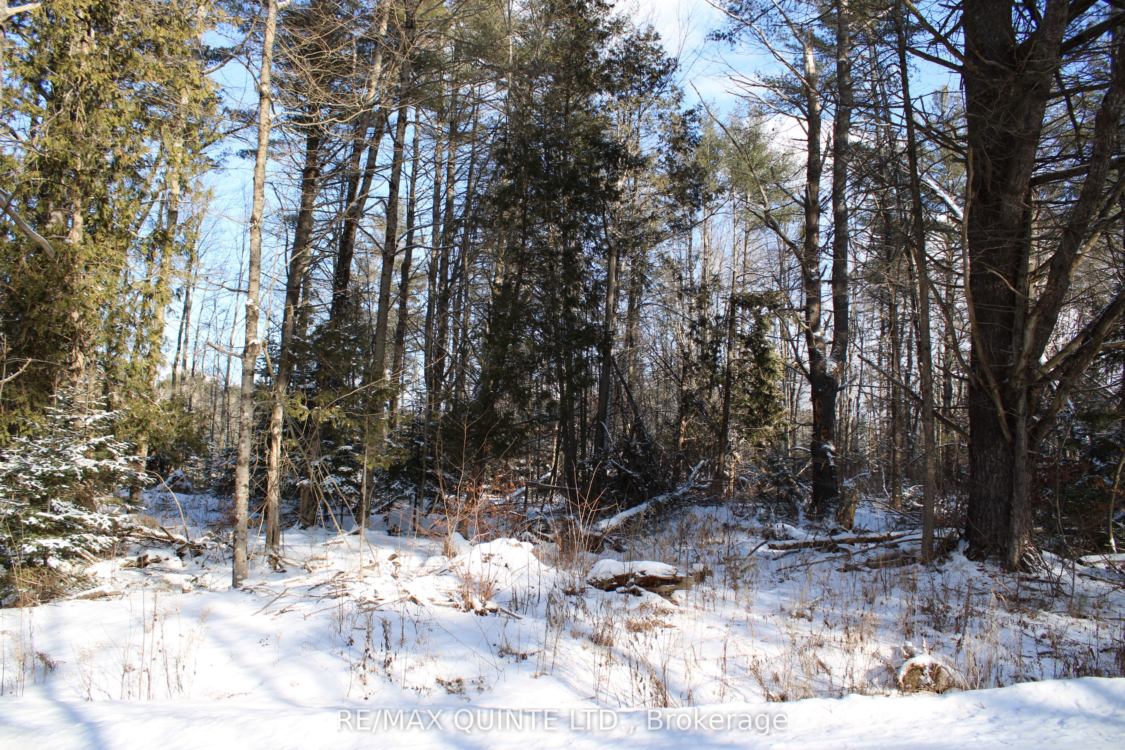 494 Twin Sister Lakes Road Property Photo 9