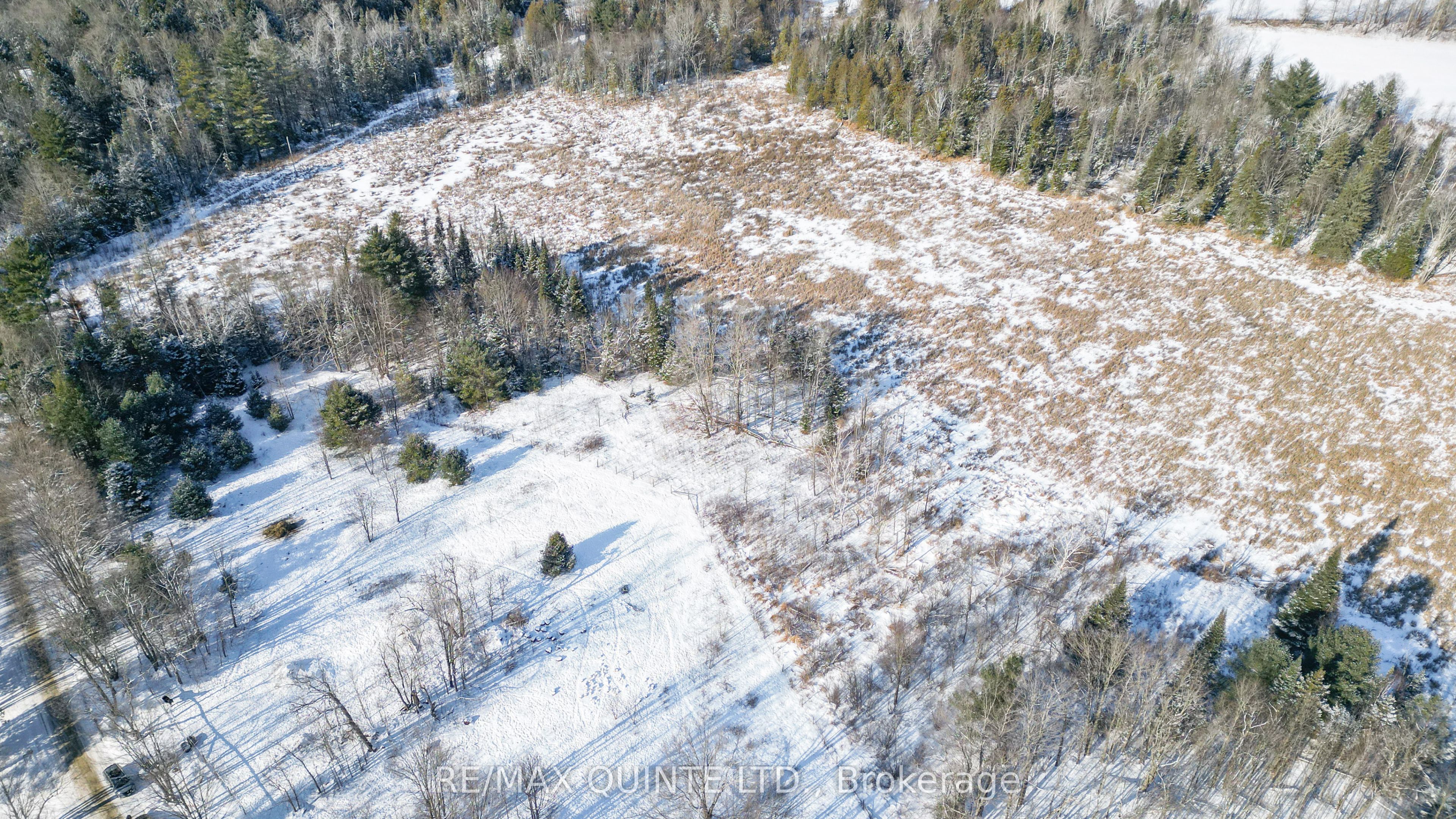 494 Twin Sister Lakes Road Property Photo 10