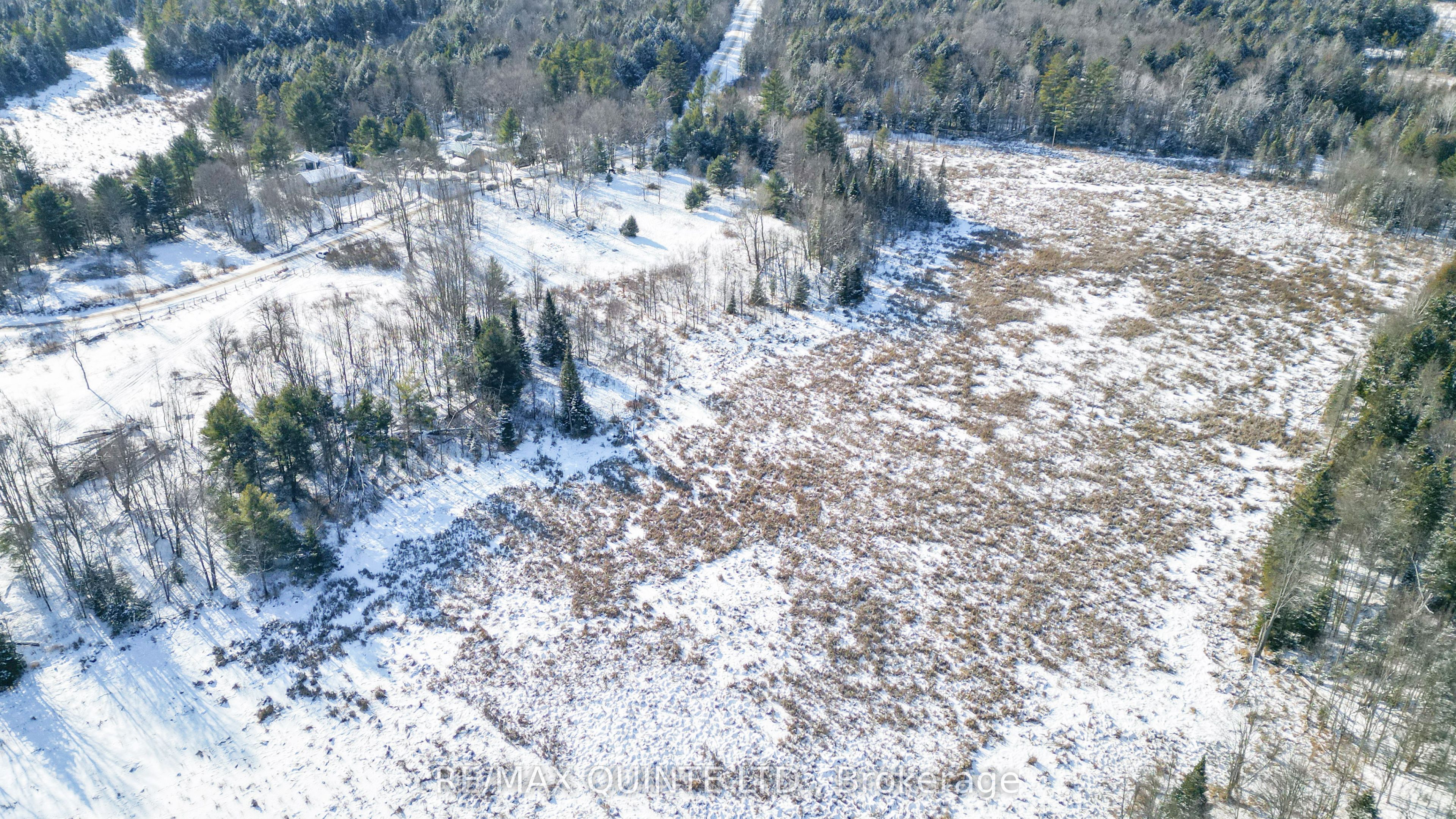 494 Twin Sister Lakes Road Property Photo 11