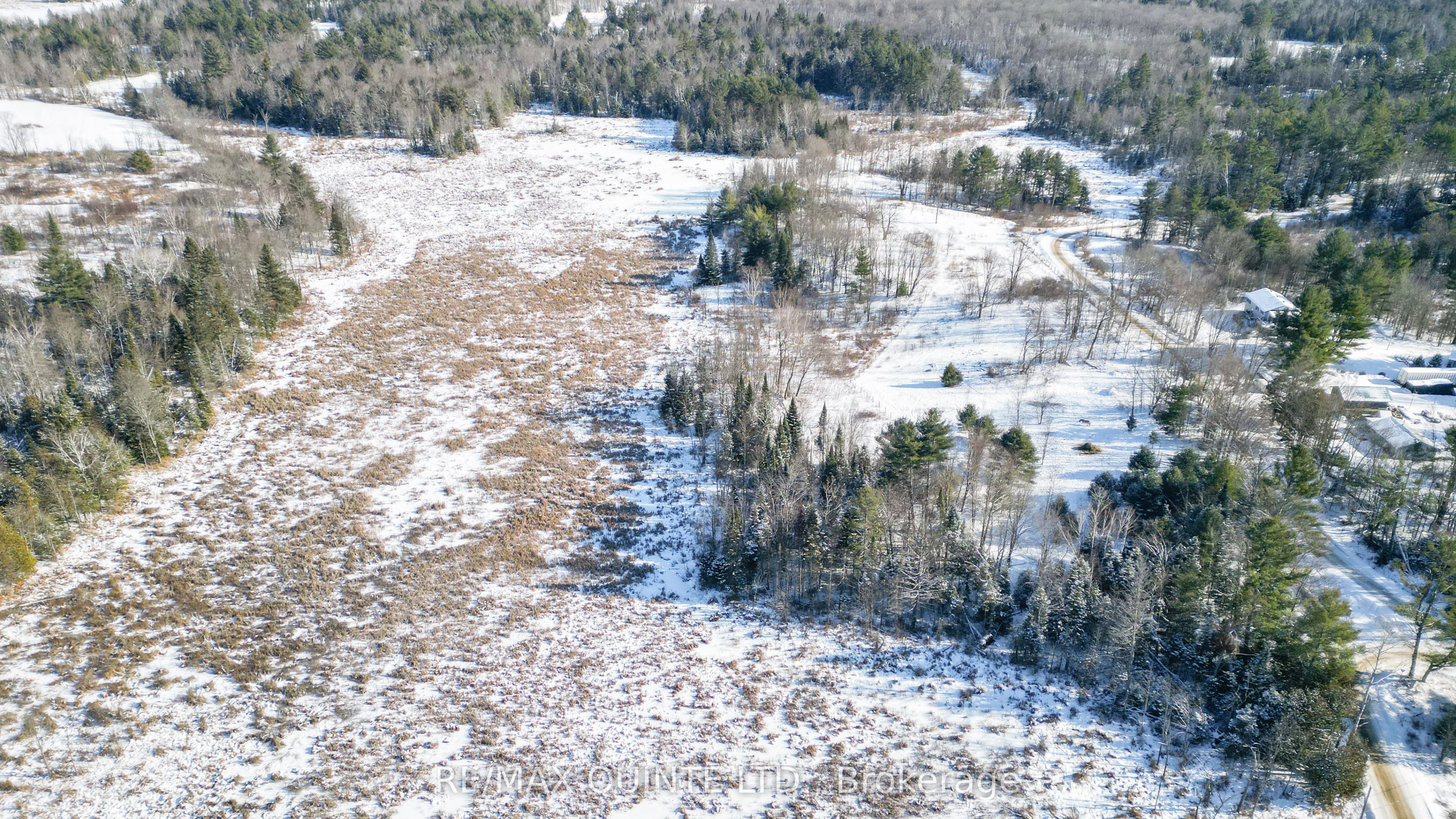 494 Twin Sister Lakes Road Property Photo 12