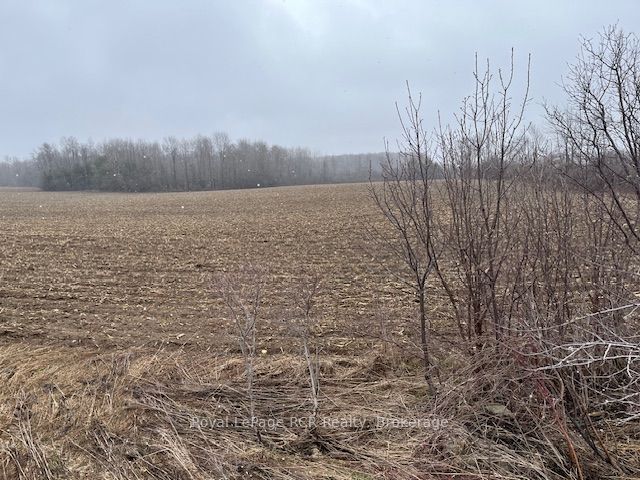 Lot 25 Con 7 Concession Property Photo 1
