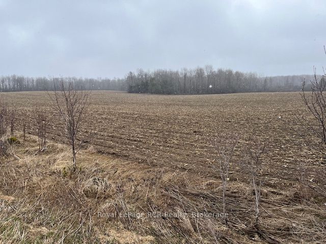Lot 25 Con 7 Concession Property Photo 4