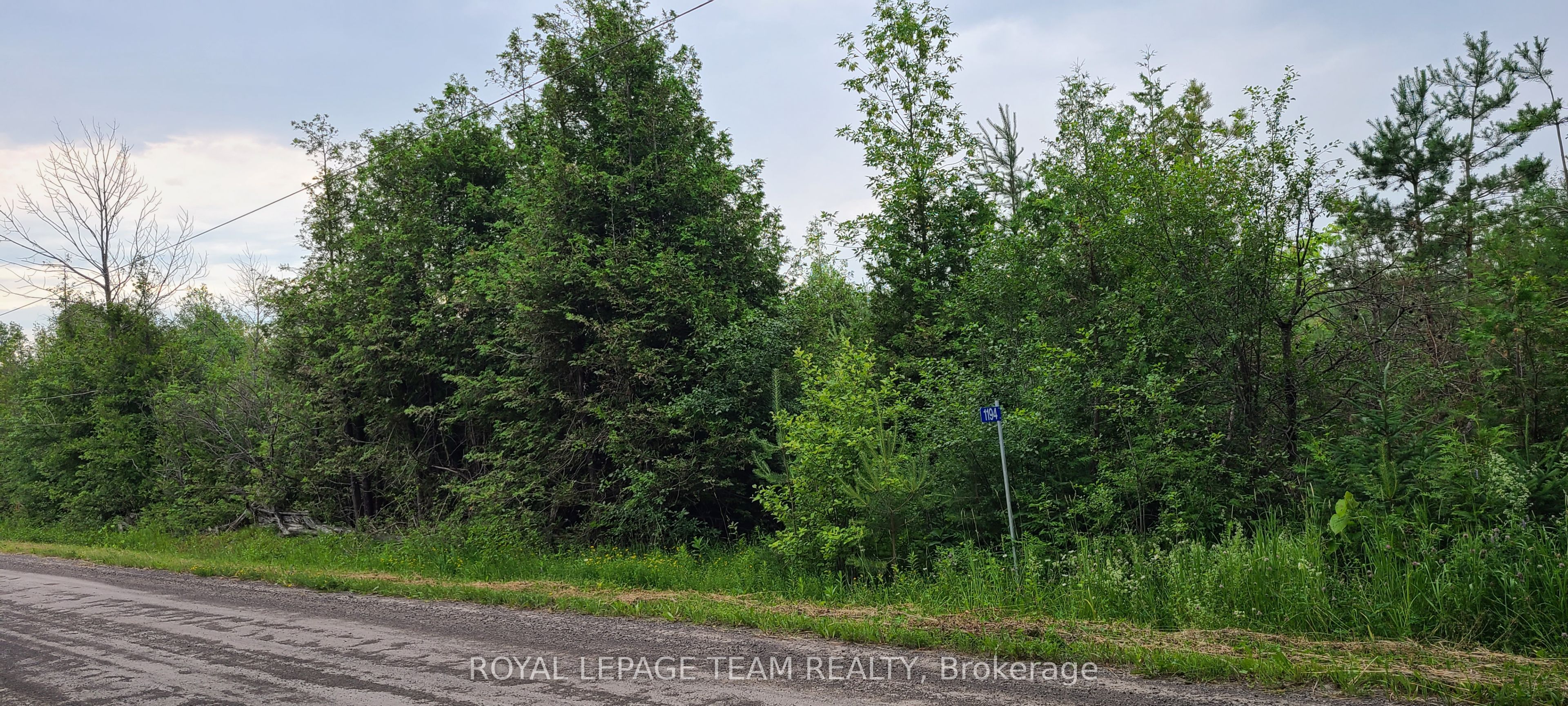 1194 Pioneer Road Property Photo 4