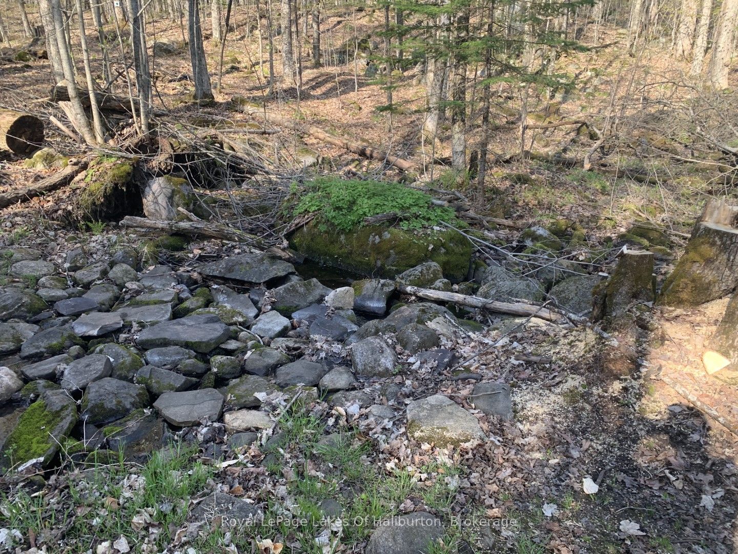 0 Kashagawigamog Lake Road Property Photo 9