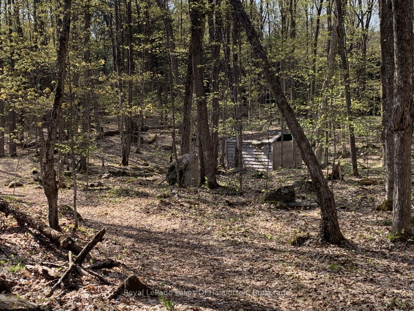 0 Kashagawigamog Lake Road Property Photo 10