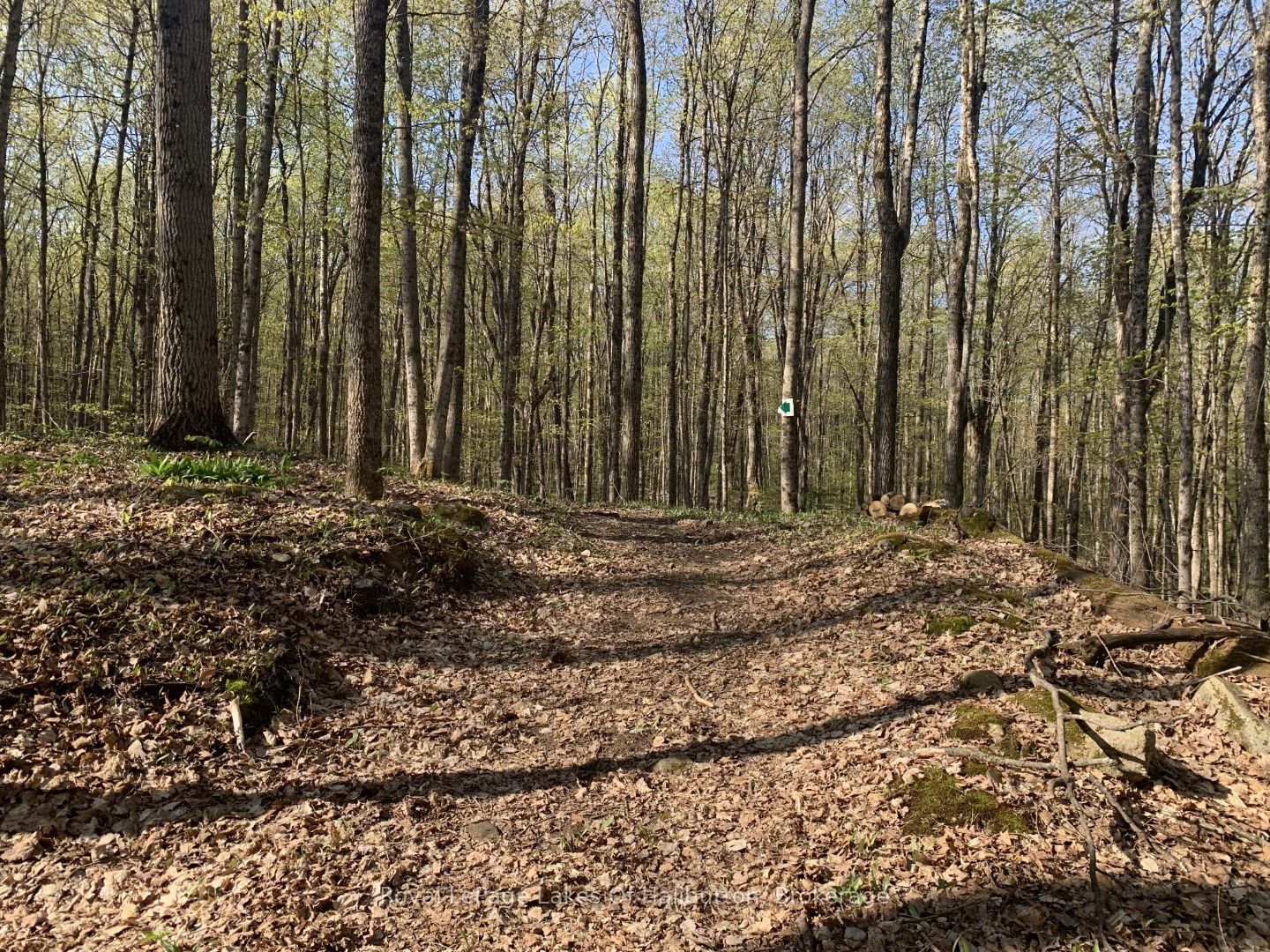 0 Kashagawigamog Lake Road Property Photo 12