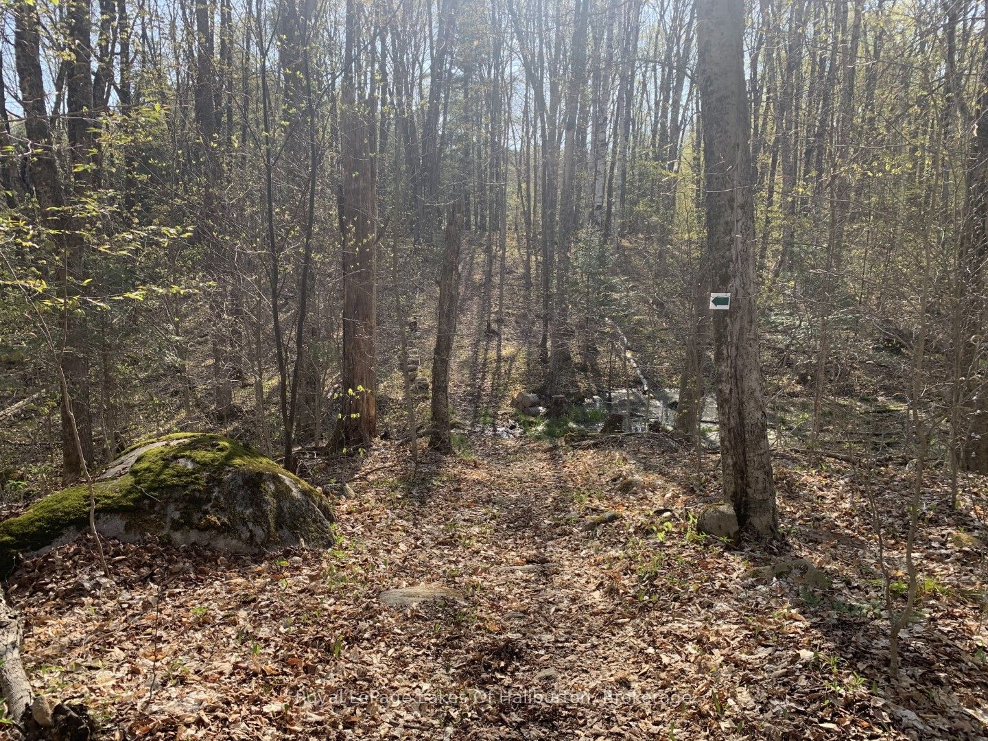 0 Kashagawigamog Lake Road Property Photo 13