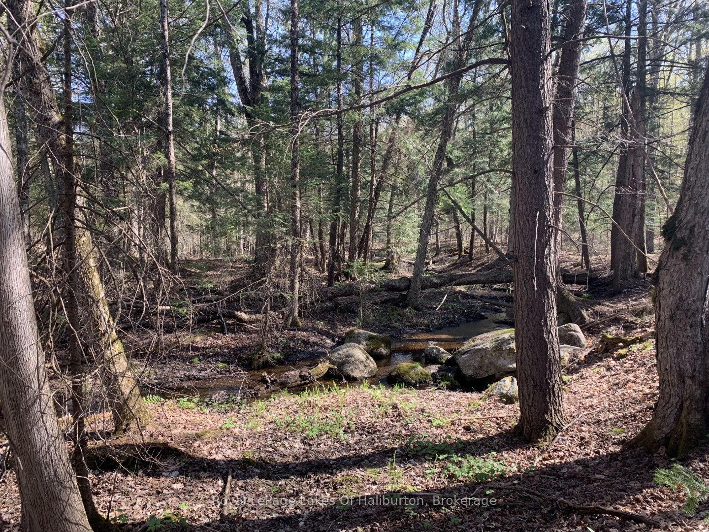 0 Kashagawigamog Lake Road Property Photo 18