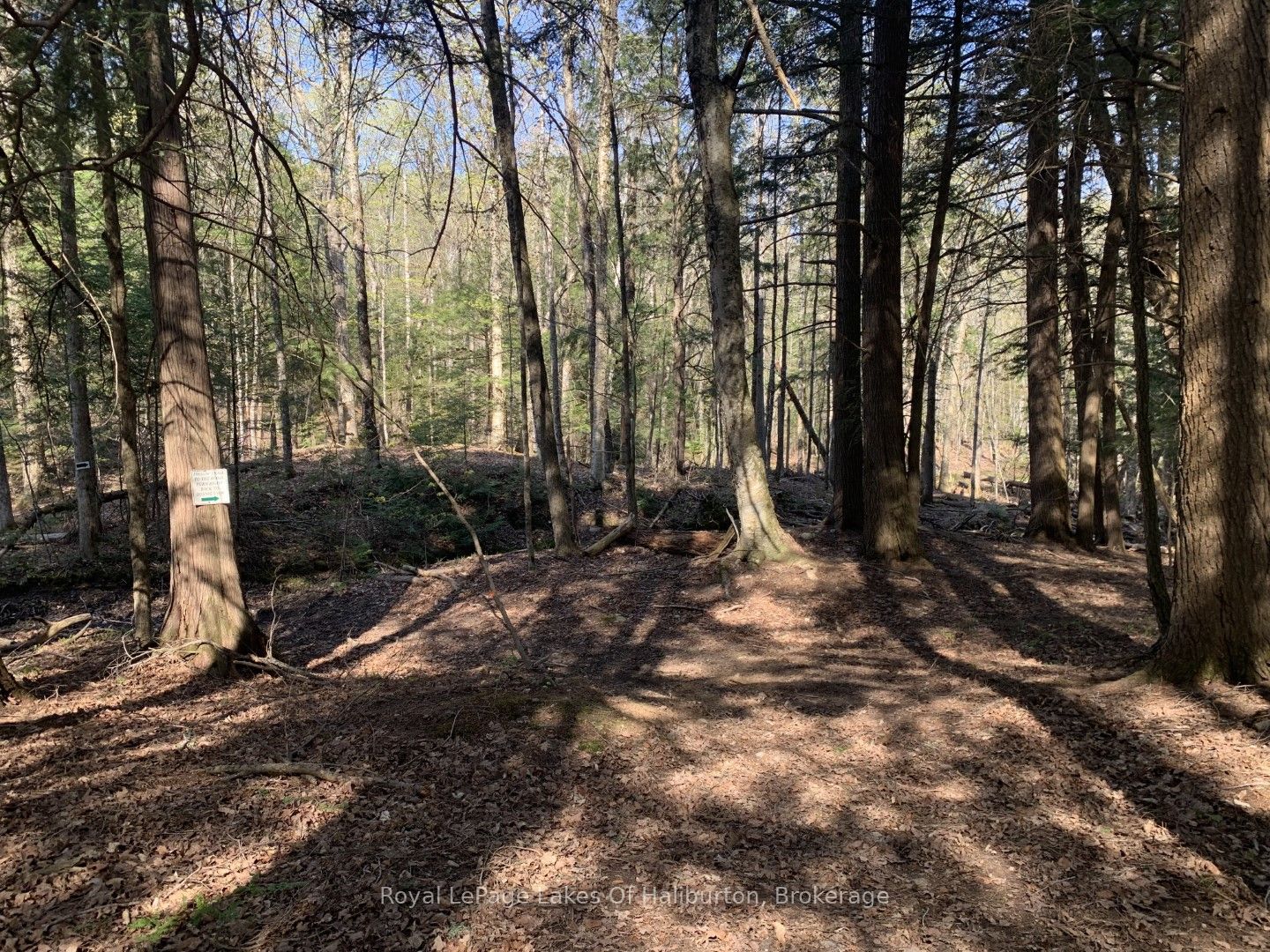 0 Kashagawigamog Lake Road Property Photo 19