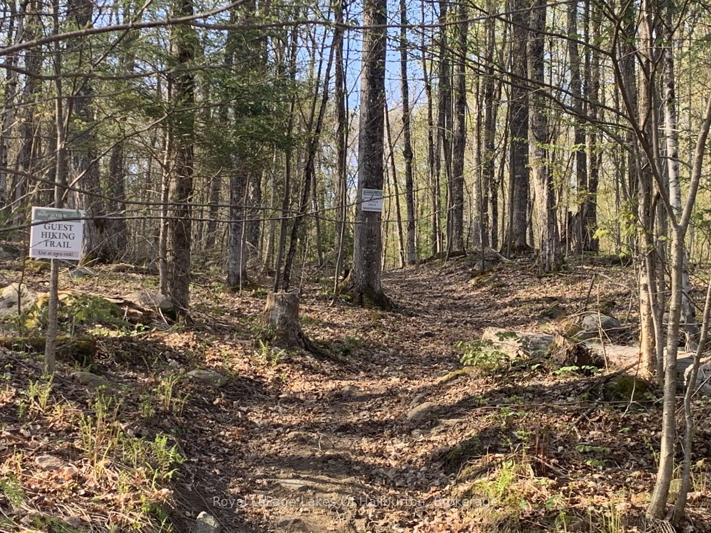 0 Kashagawigamog Lake Road Property Photo 21