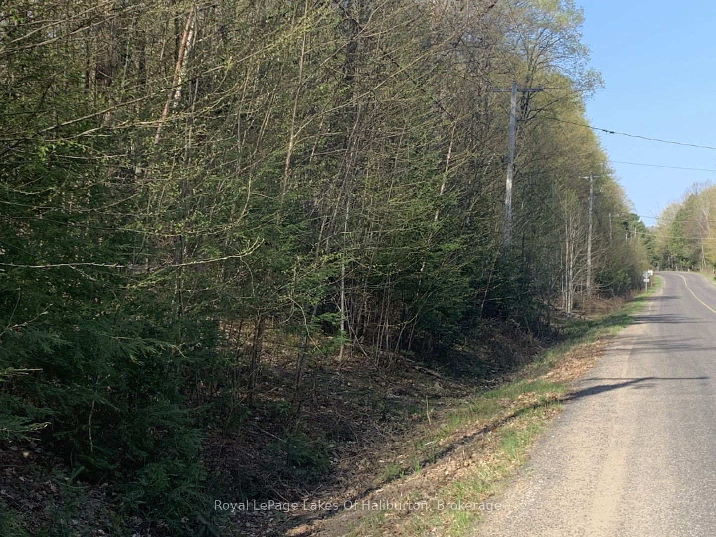 0 Kashagawigamog Lake Road Property Photo 22