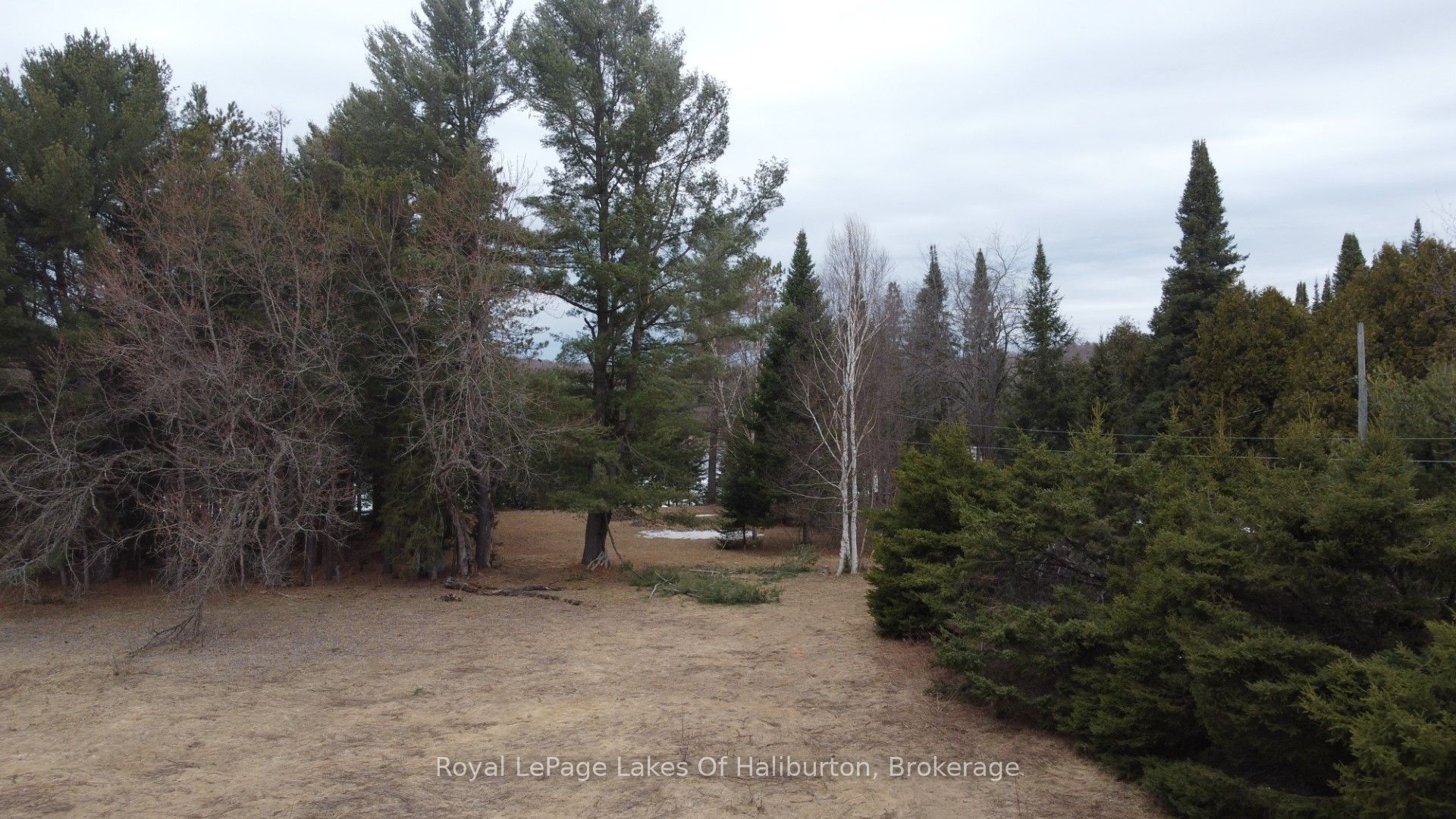 0 Kashagawigamog Lake Road Property Photo 25