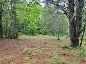 168 Airport Road Property Photo
