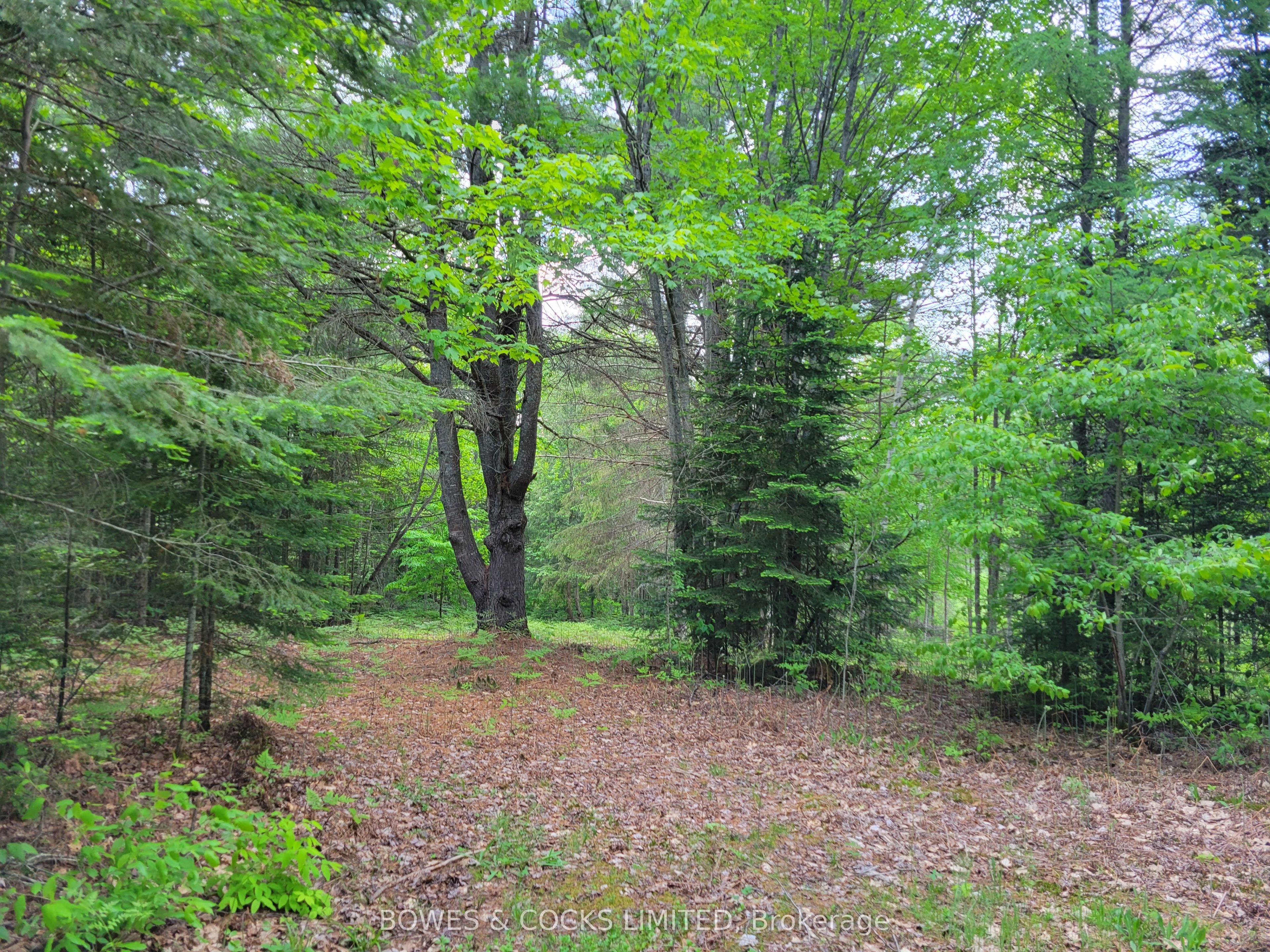 168 Airport Road Property Photo 2
