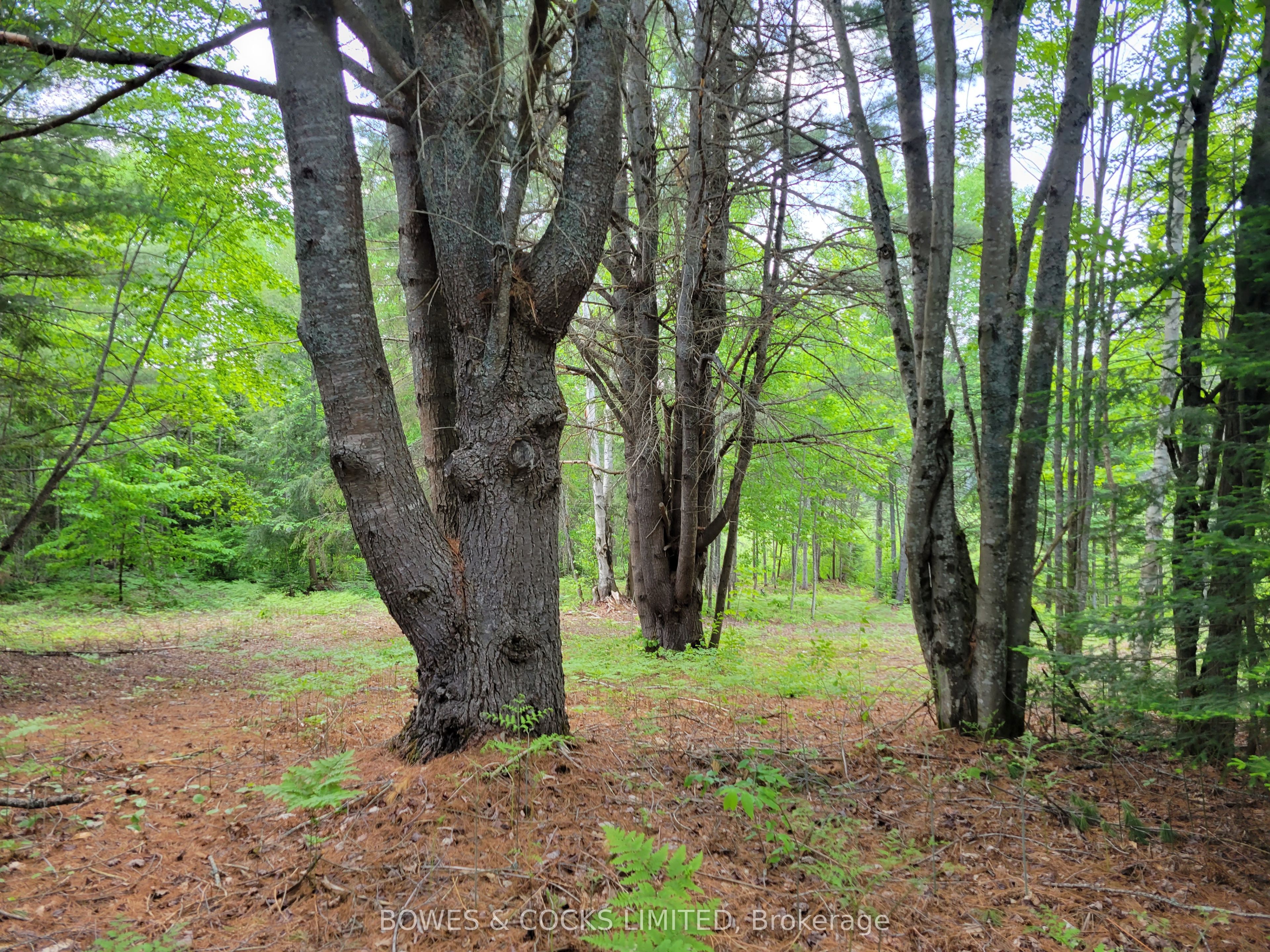 168 Airport Road Property Photo 4