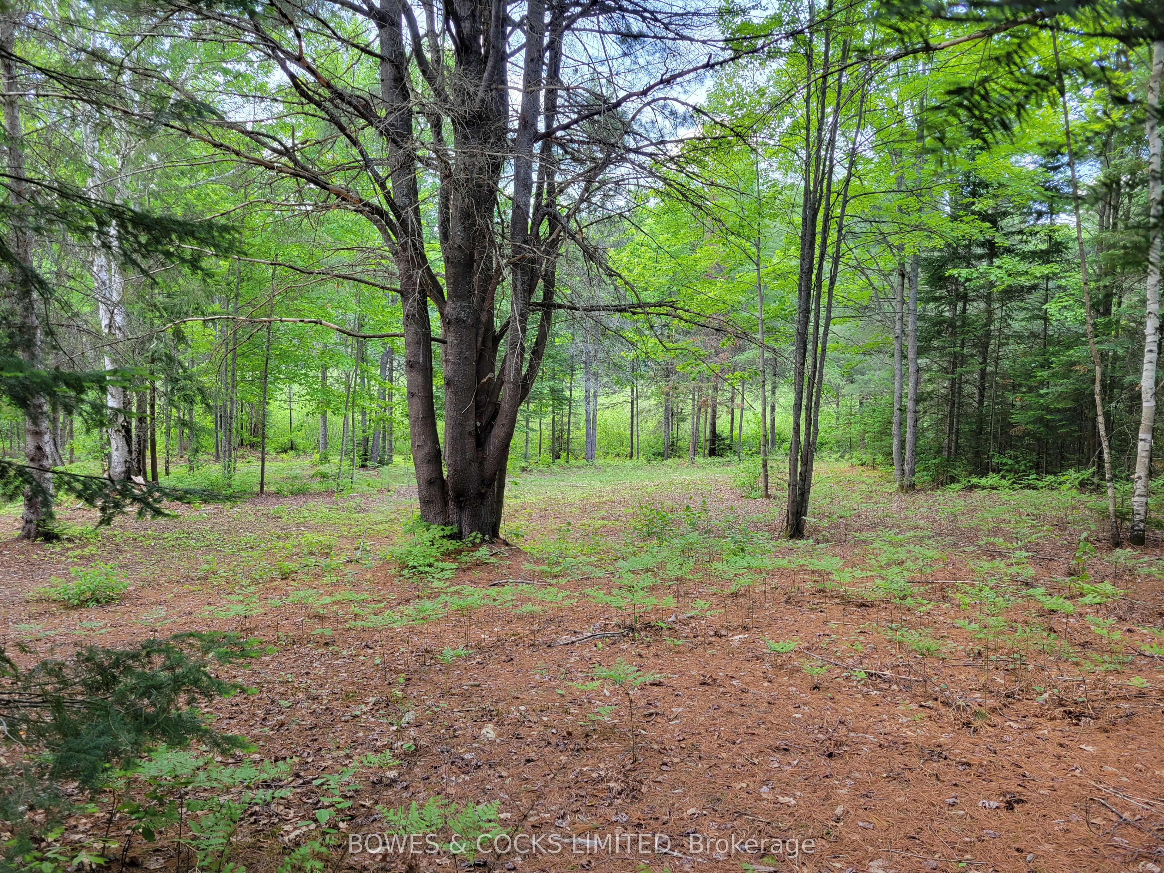 168 Airport Road Property Photo 5