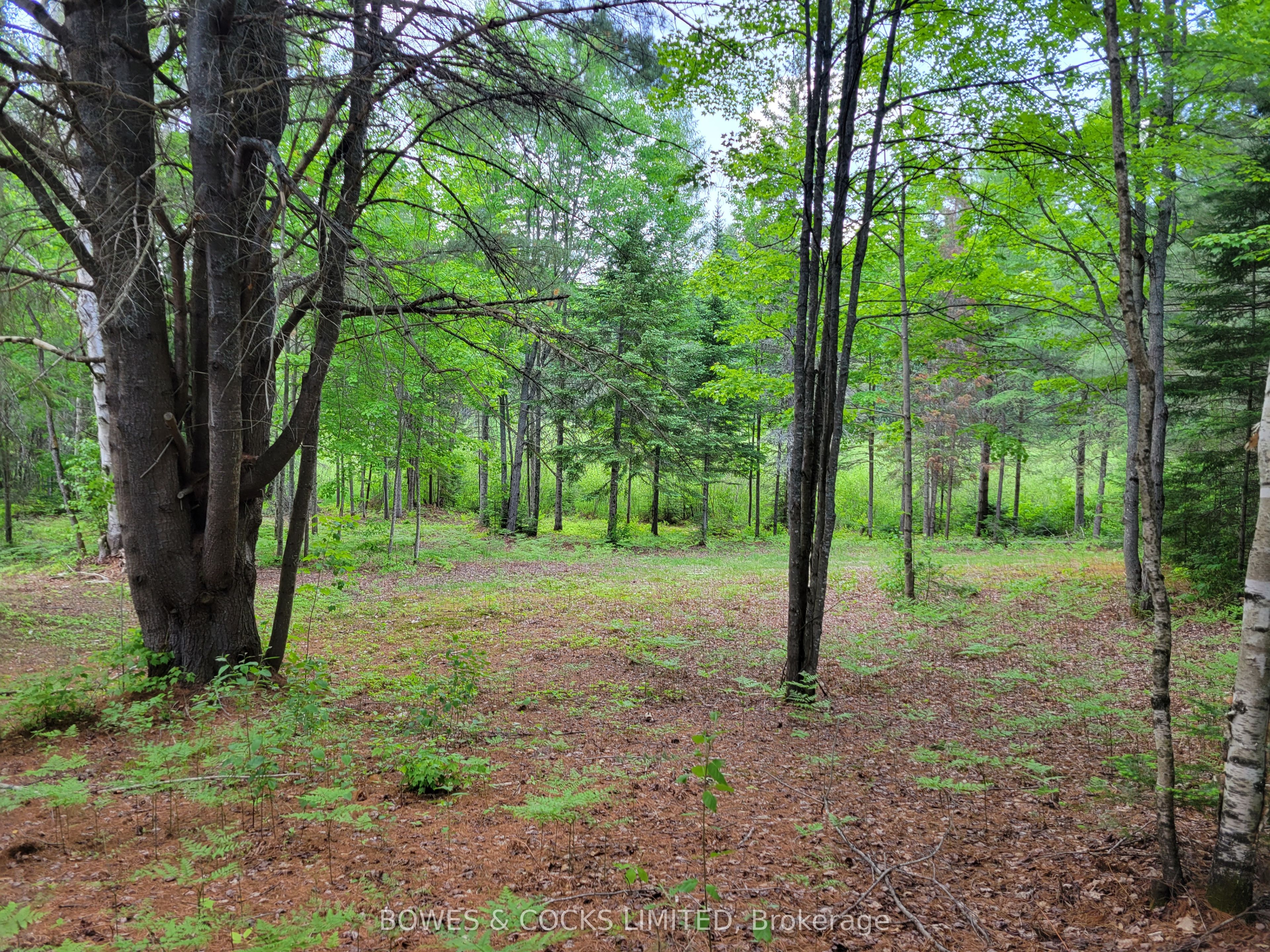 168 Airport Road Property Photo 7