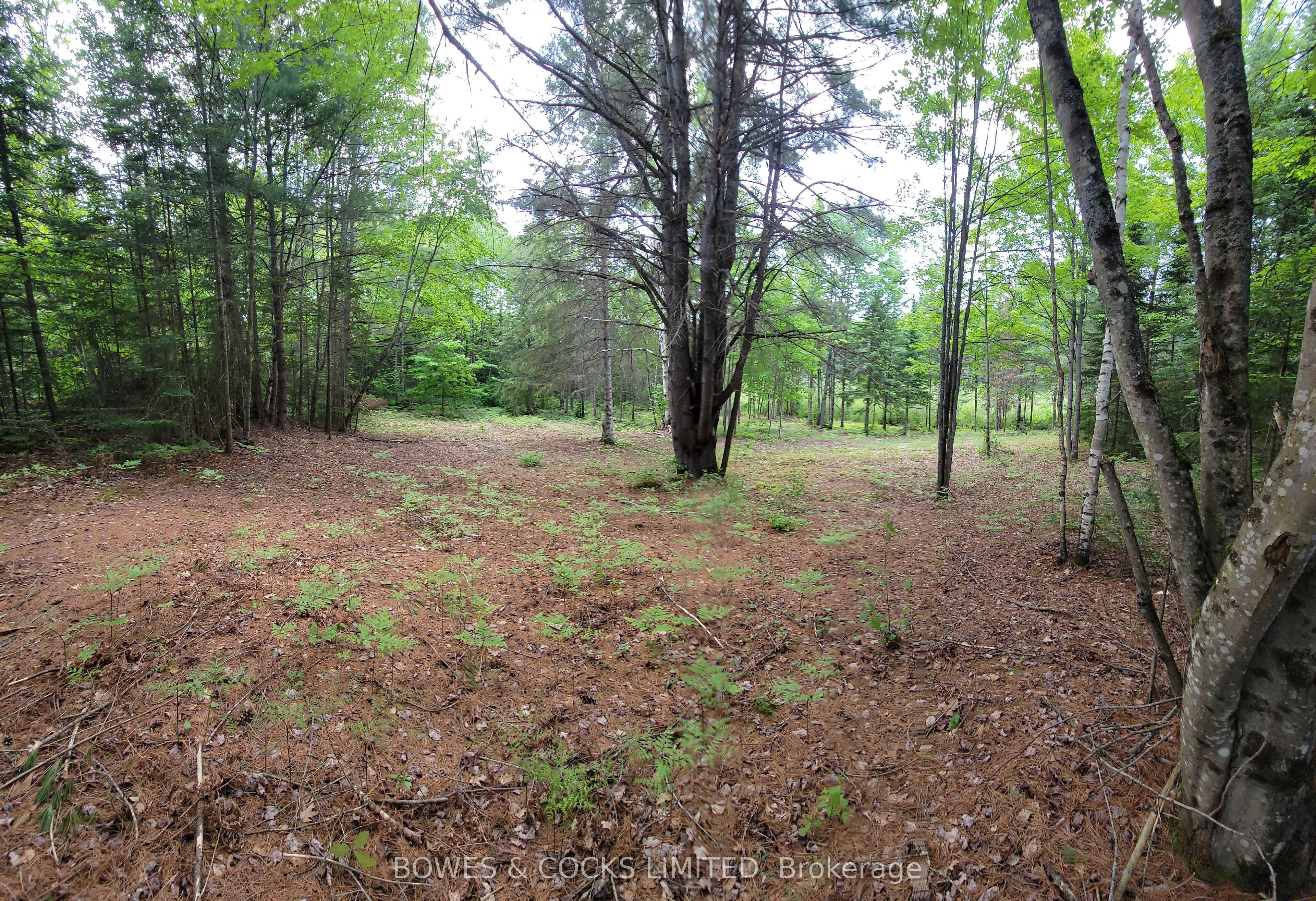 168 Airport Road Property Photo 8