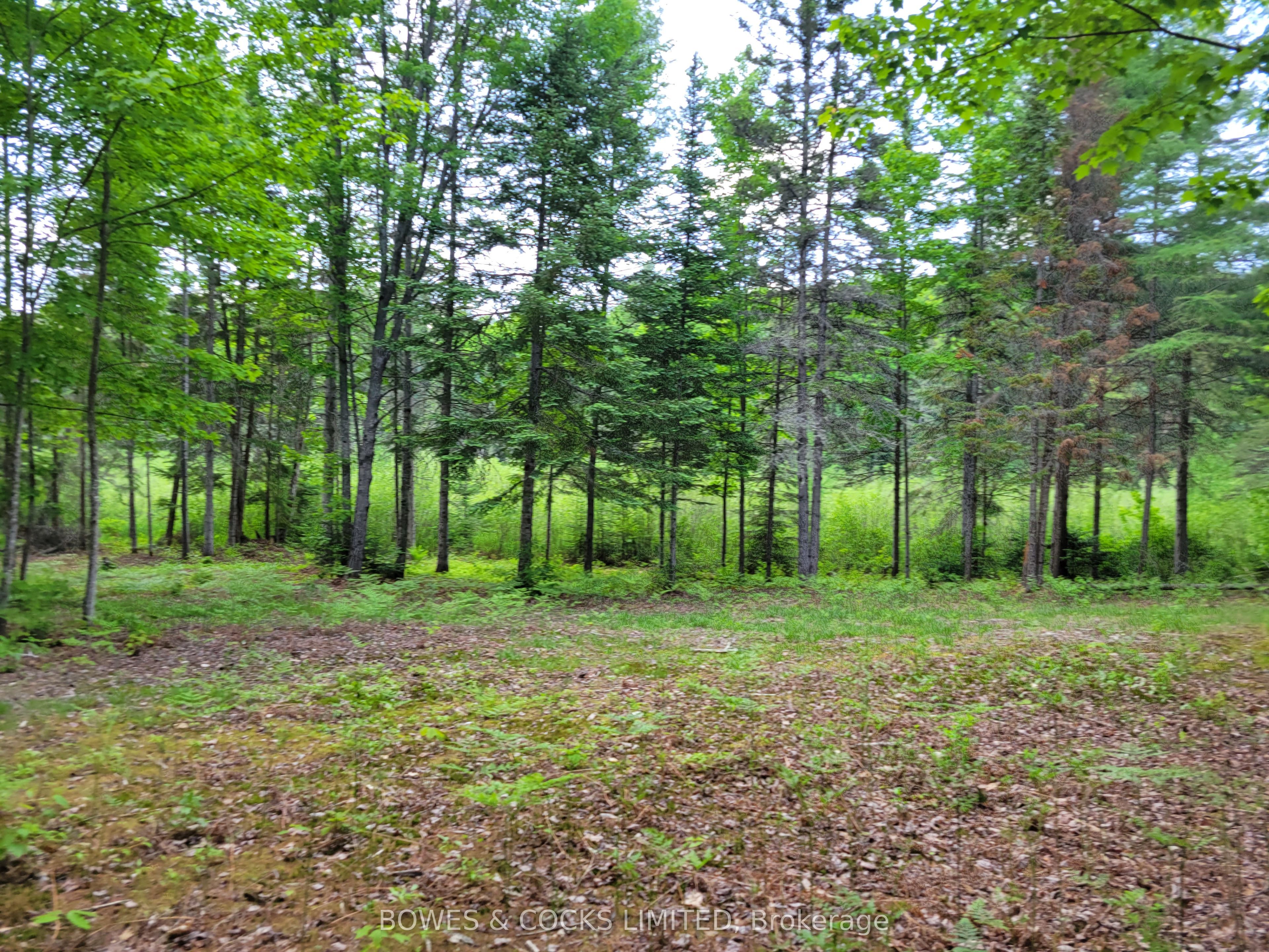 168 Airport Road Property Photo 9